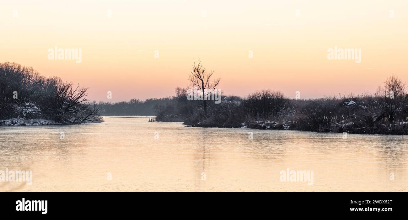 Paysage hivernal avec végétation sèche à côté d'un lac gelé Banque D'Images