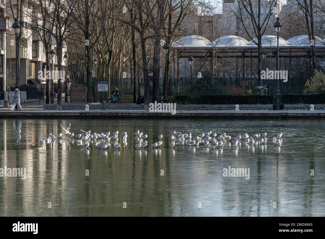 Paris, France - 01 20 2024 : Canal de l'Ourcq. Réflexions sur le canal de l'Ourcq d'immeubles résidentiels, pont, barges et mouettes sur eau gelée Banque D'Images