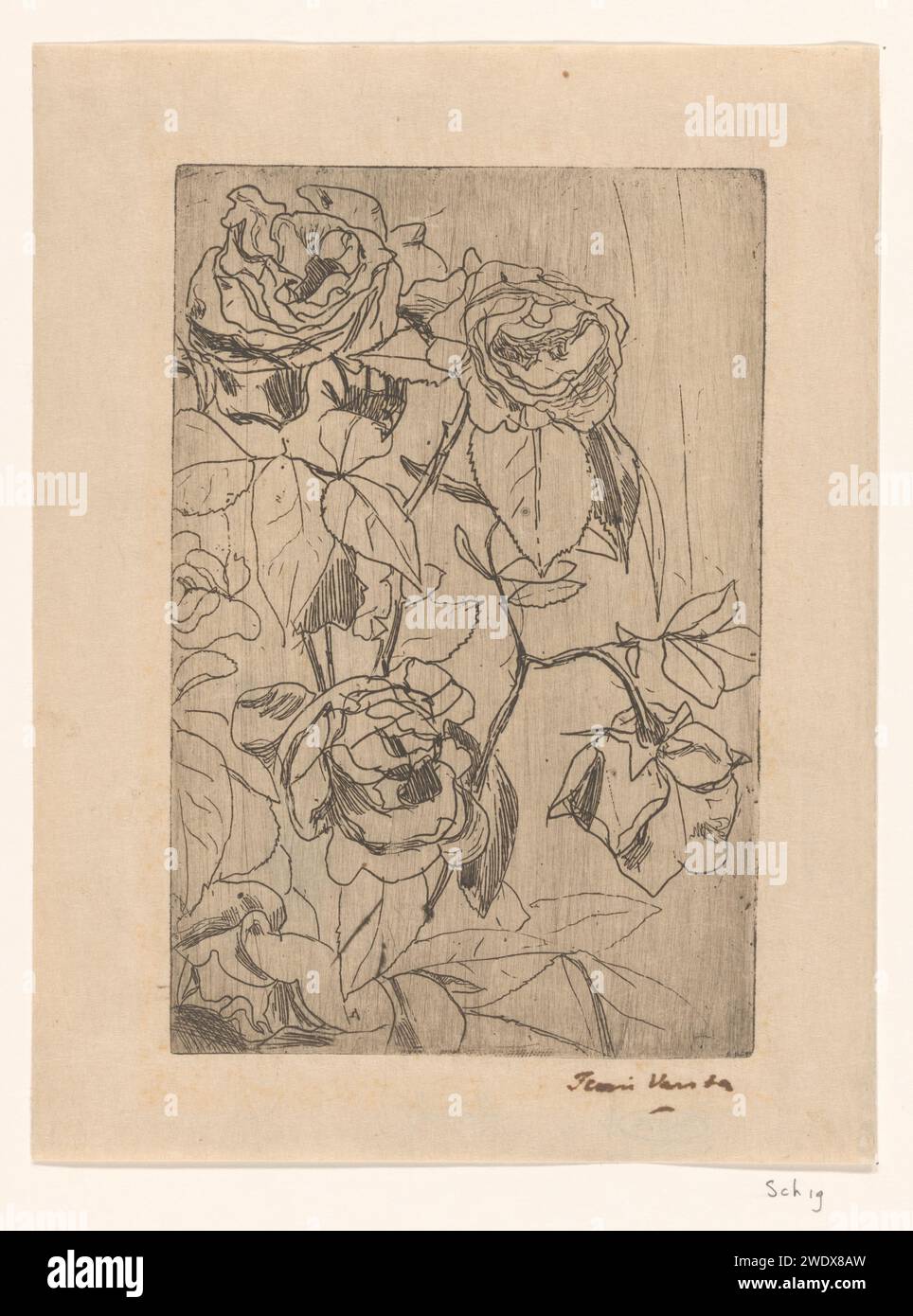 Roses, Floris Verster, 1891 papier gravure / fleurs à pointe sèche : rose Banque D'Images