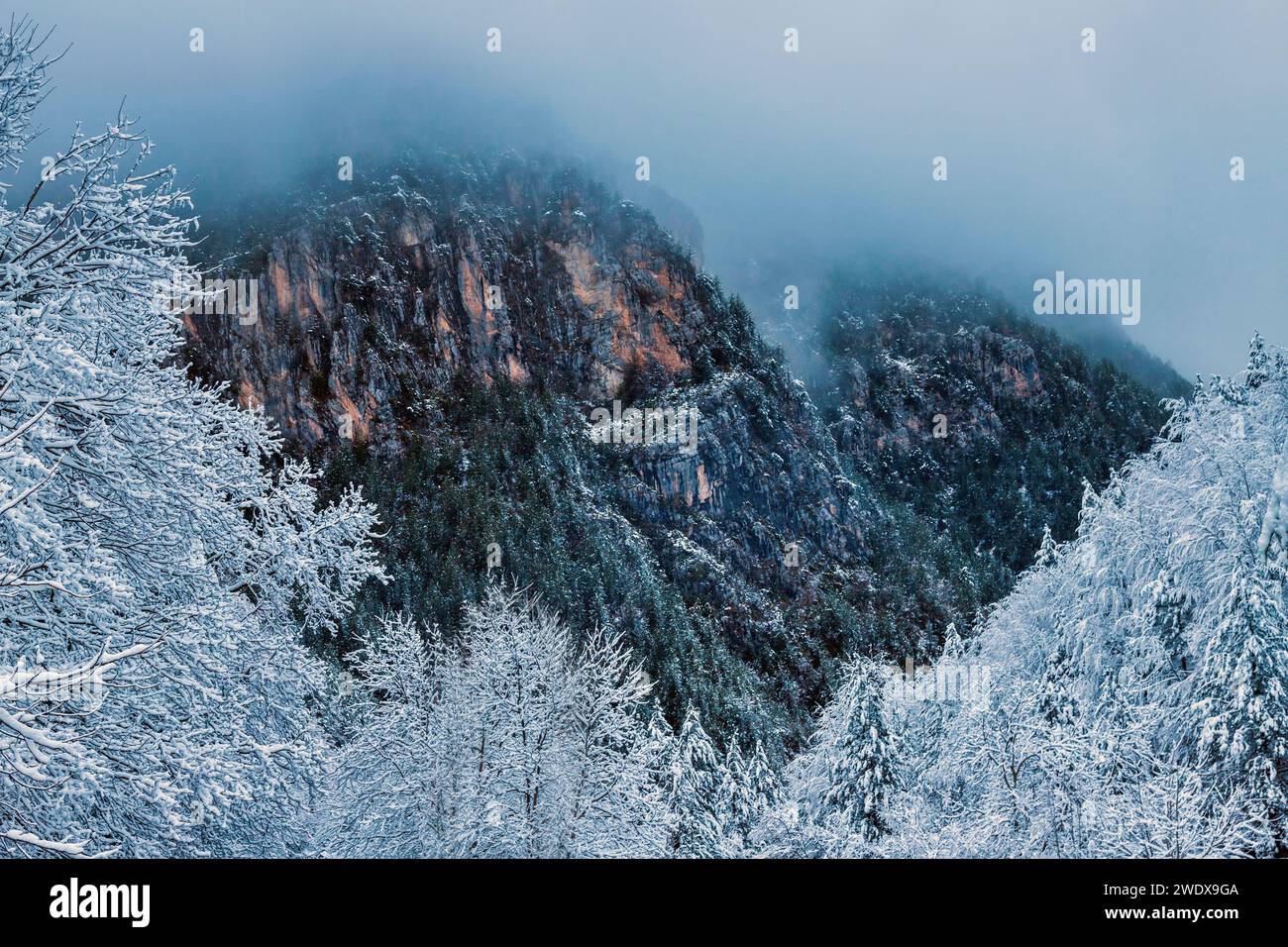 Le 'coeur' du mont Olympe, la 'montagne des Dieuxs', Pieria, Macédoine, Grèce. Banque D'Images