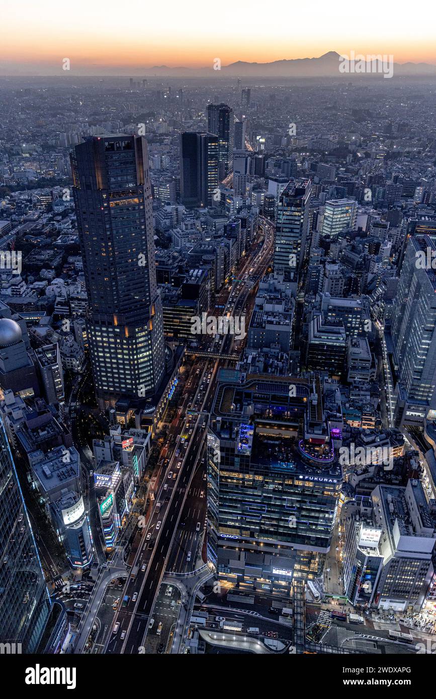 TOKYO/JAPON - novembre 22 2023 : vue aérienne de la ville de tokyo au coucher du soleil, visible Mont Fuji Banque D'Images