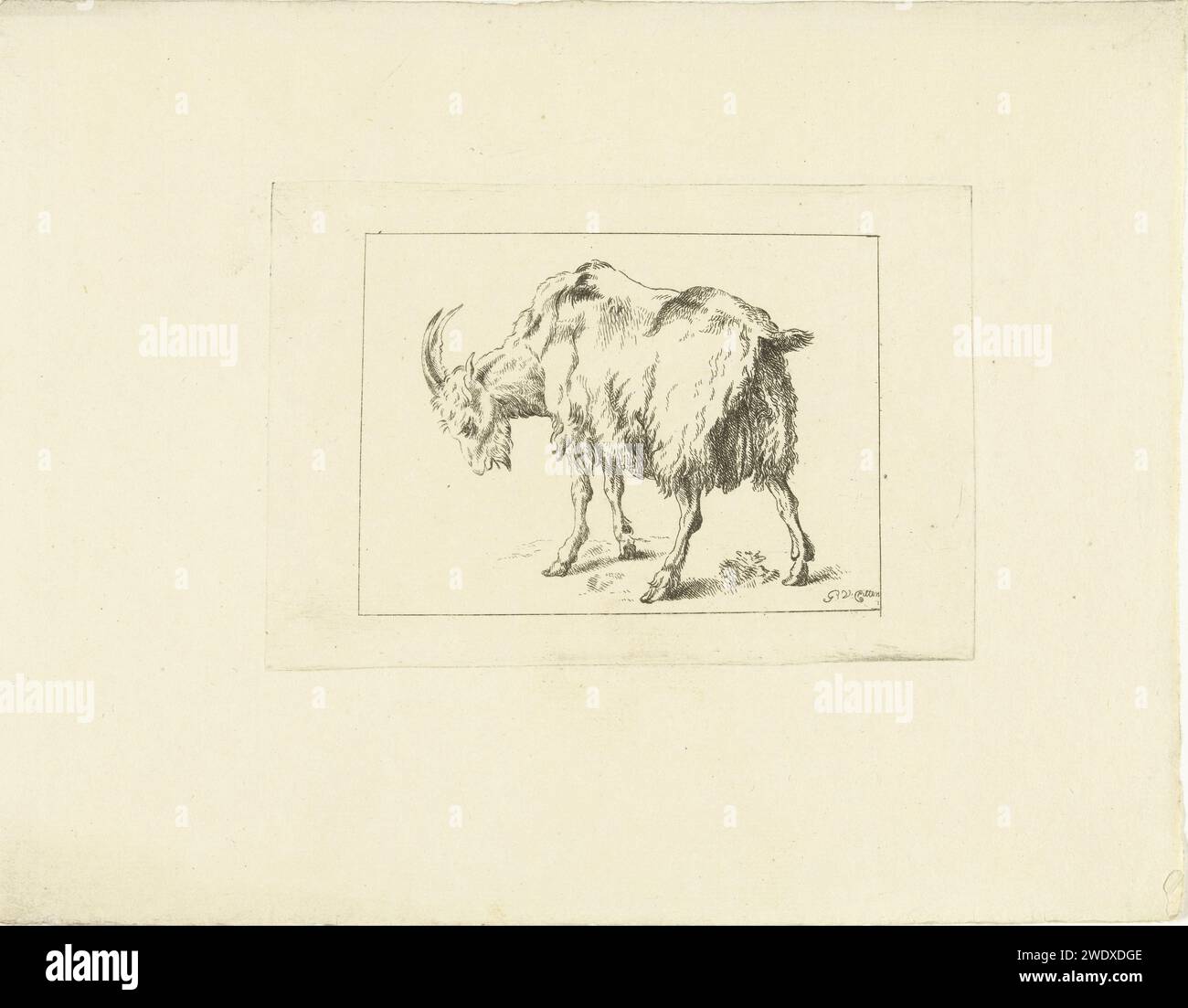 Goatbok, G. van Citters, c. 1750 - c. 1800 imprimer papier néerlandais gravure HE-Goat, billy-Goat Banque D'Images