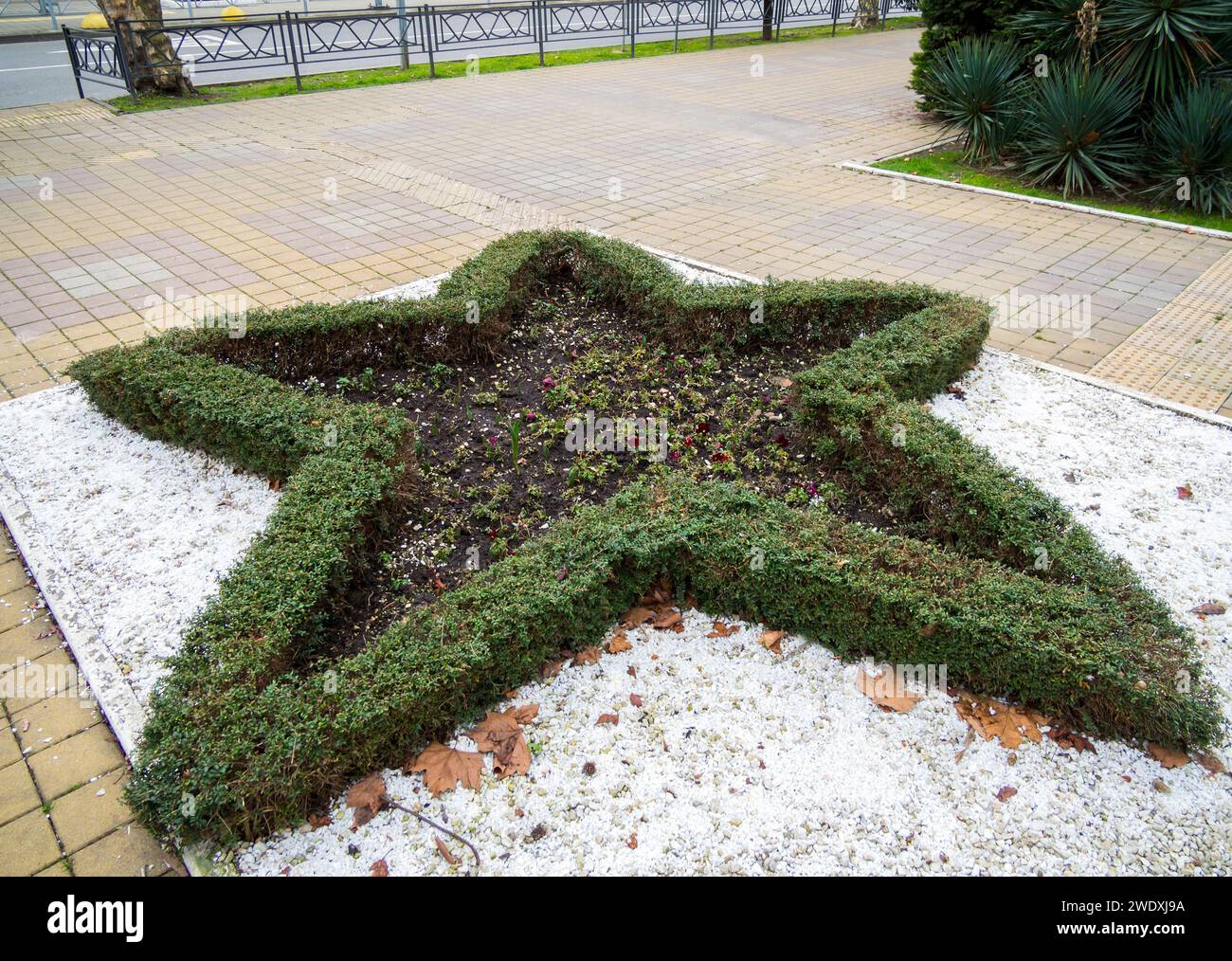 Parterre de fleurs en forme d'étoile à cinq branches Banque D'Images