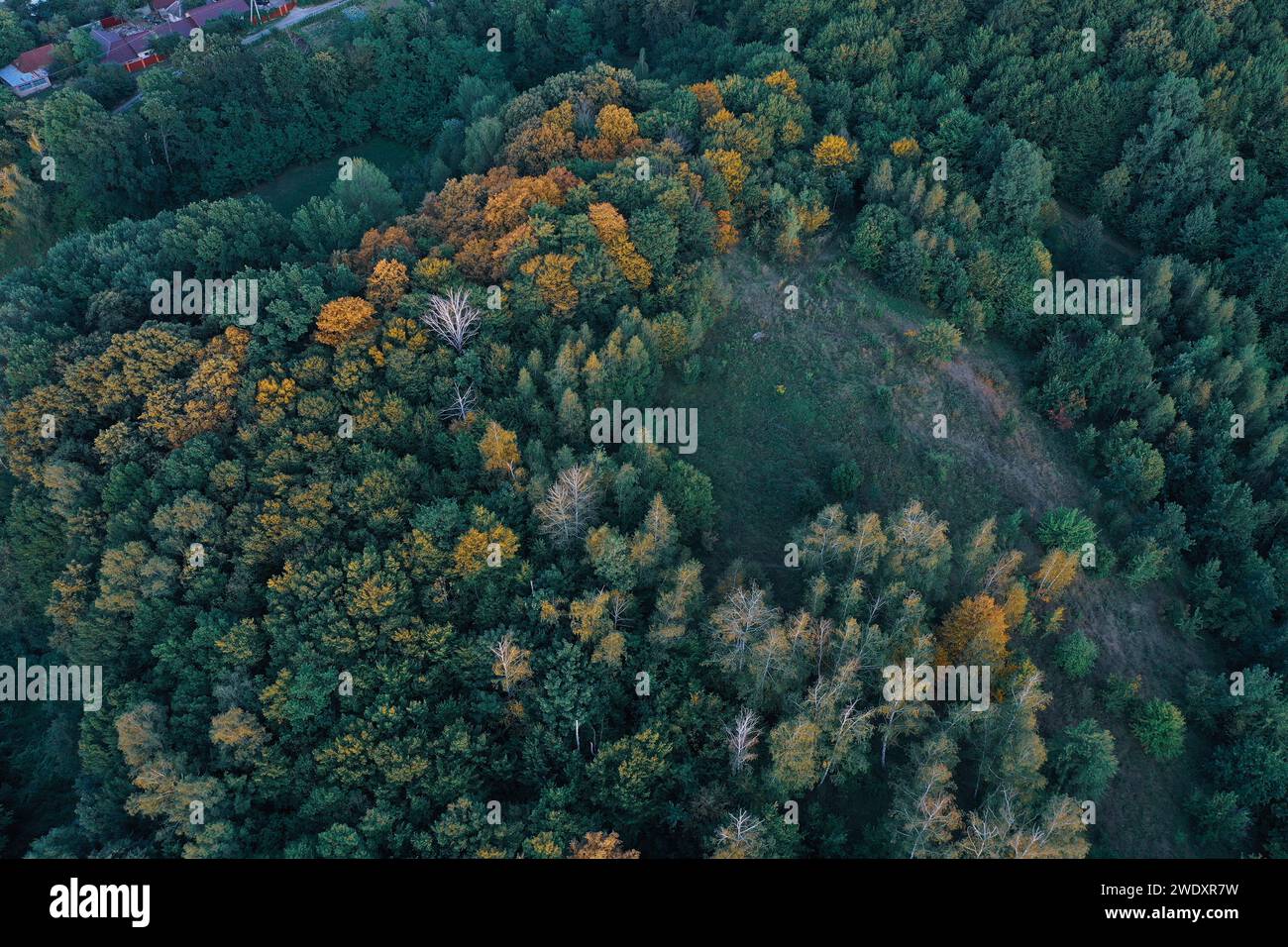 champ automne montagne arbres maisons. Photo de haute qualité Banque D'Images