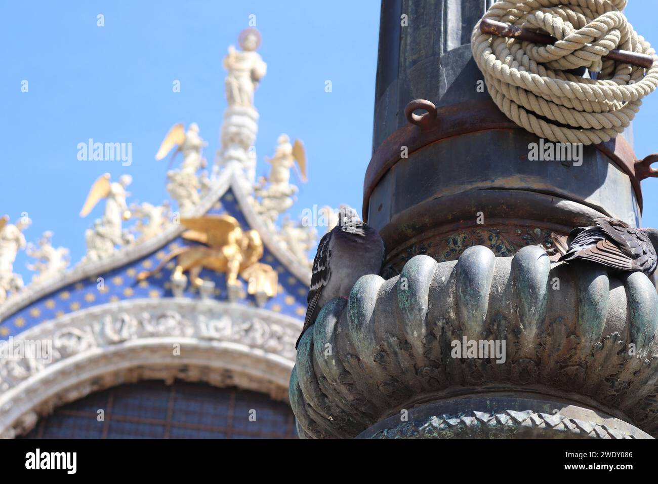 Pigeon perché sur le poteau à St. Cathédrale de Mark Banque D'Images