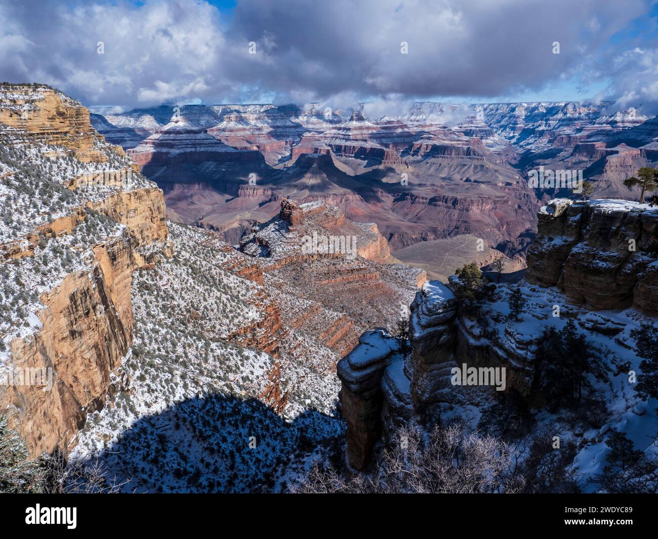 Canyon depuis le Rim Trail, hiver, Grand Canyon Village, Parc National du Grand Canyon, Arizona. Banque D'Images