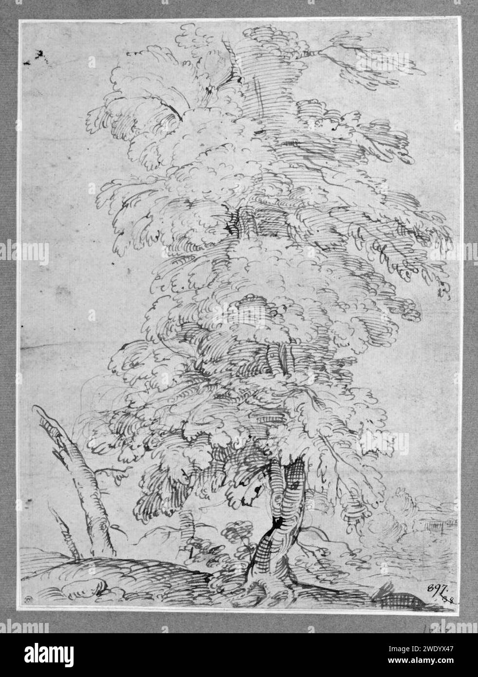 Agostino Carracci - arbre Banque D'Images