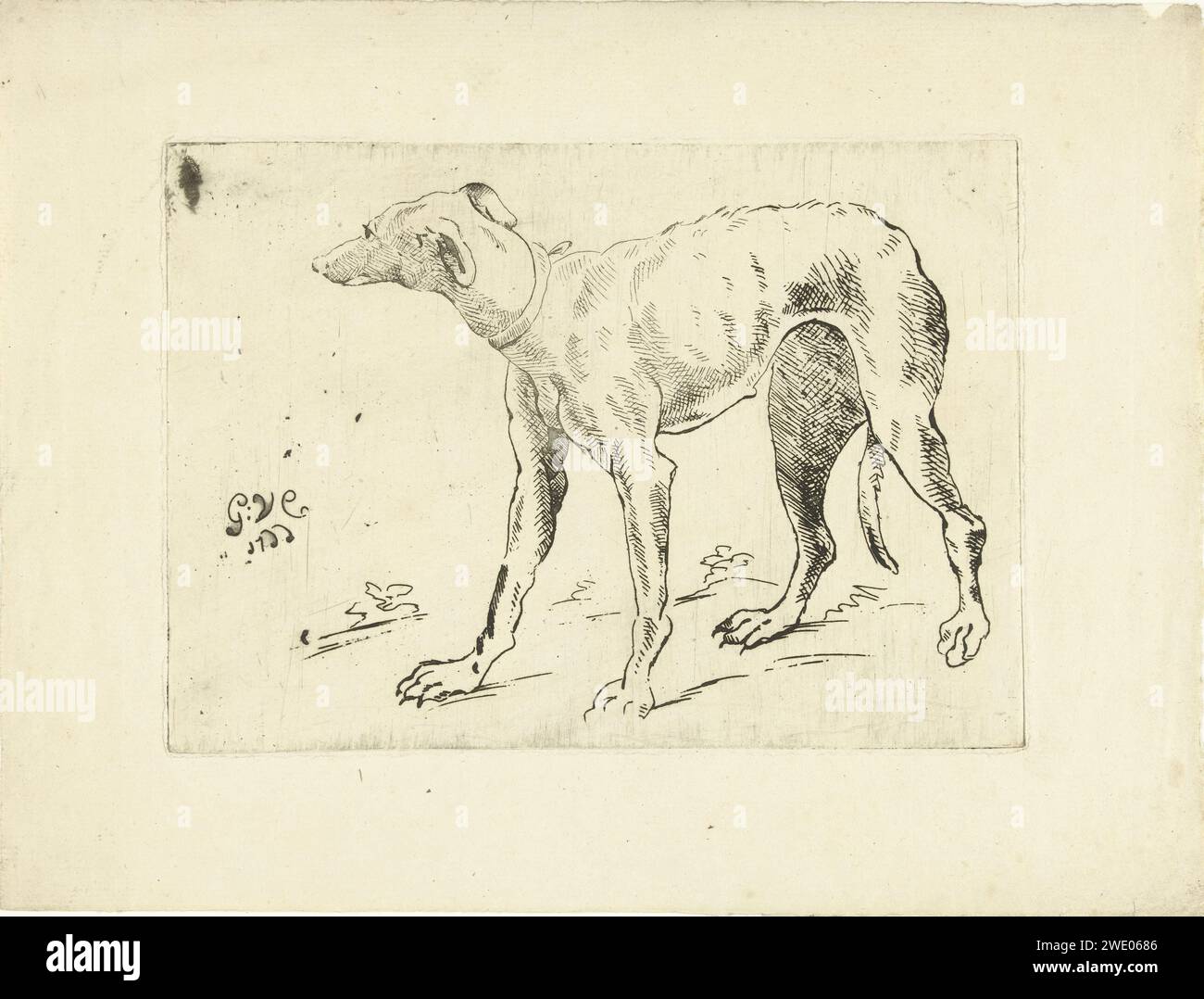Woeghond, G. van Citters, 1766 print pays-Bas papier gravure chien Banque D'Images