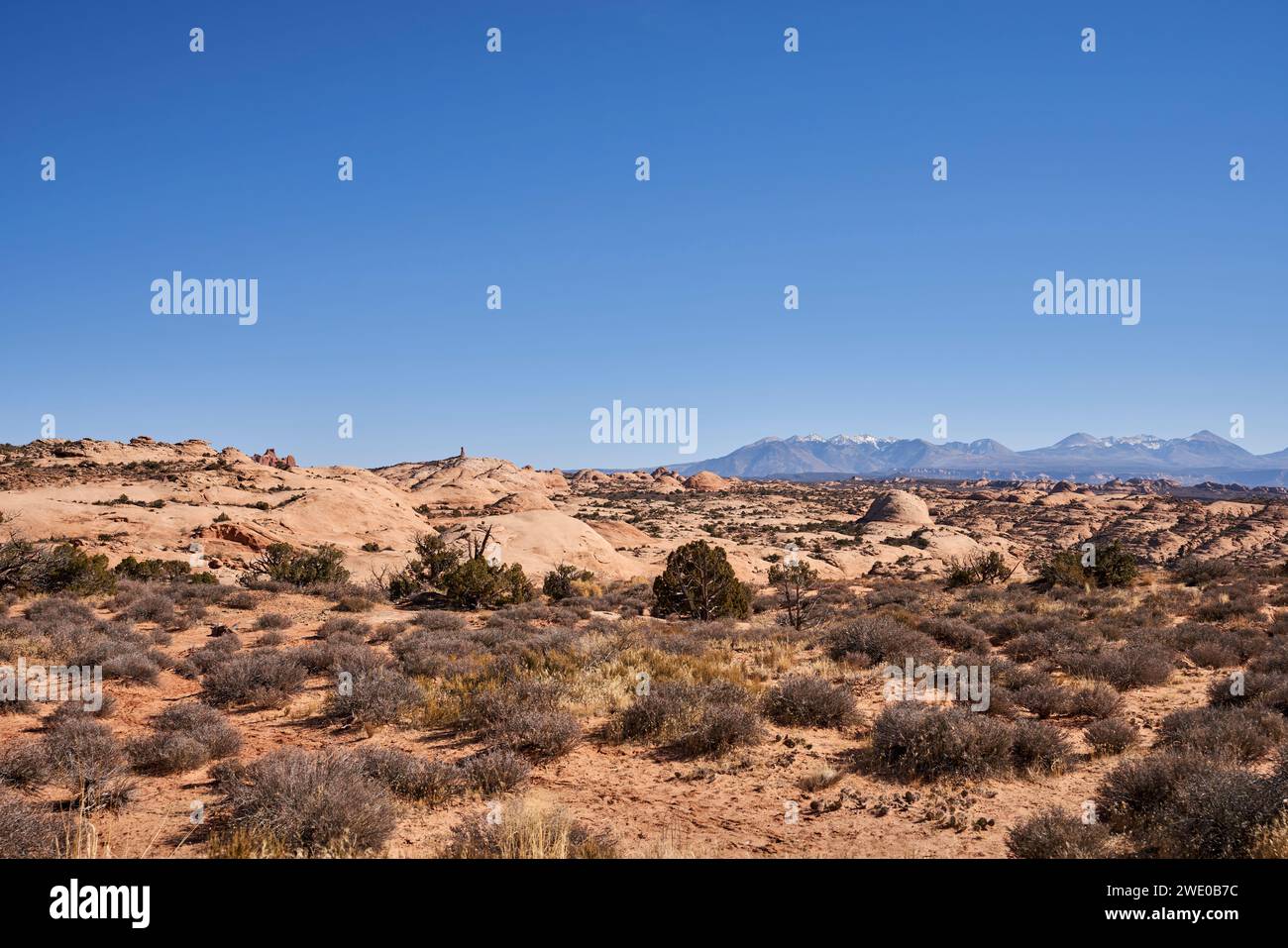 Un vaste réseau de dunes rocheuses pétrifiées. La chaîne de montagnes de la sal peut être vue en arrière-plan. Banque D'Images