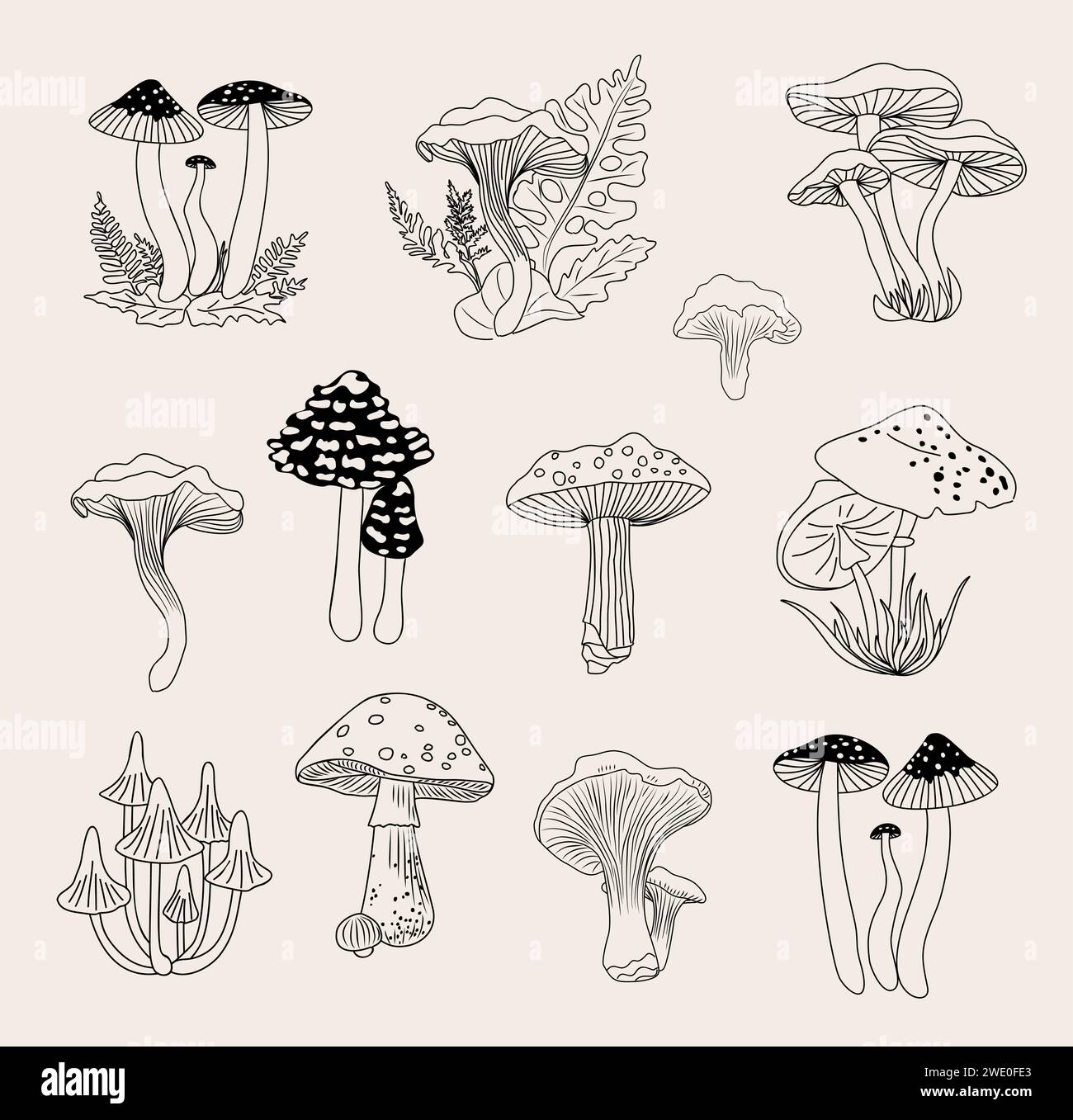Ensemble de champignons forestiers vecteur d'art au trait dessiné à la main Illustration de Vecteur