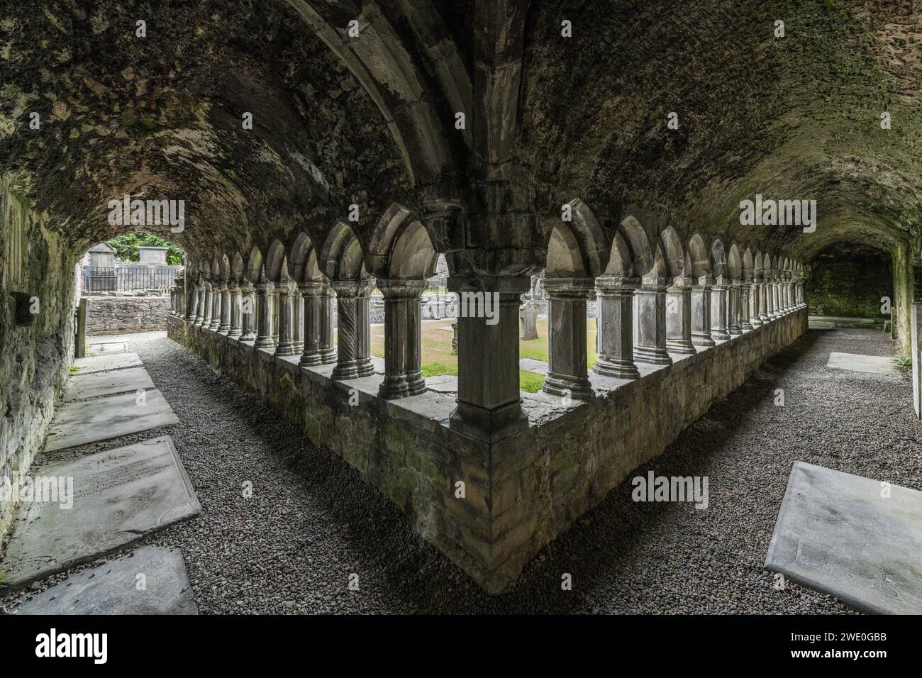 Intérieur du cloître de l'abbaye de Sligo avec grand angle, Connacht, Irlande. Banque D'Images