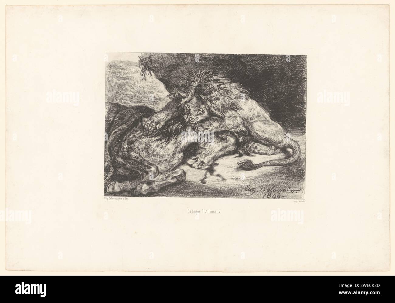 Lion dévore un cheval, Eugène Delacroix, 1844 tirage Paris papier bêtes de proie, animaux prédateurs : lion. cheval attaqué par un animal sauvage Banque D'Images