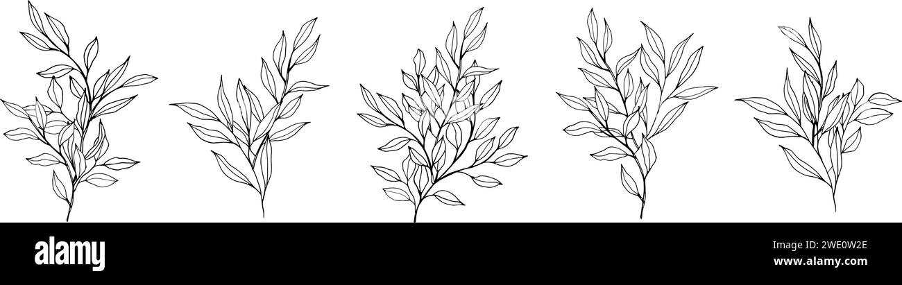 compositions de branches et de feuilles de contour vectoriel. Branches élégantes pour la décoration. dessin à la main illustration botanique monochrome pour les arrière-plans Illustration de Vecteur