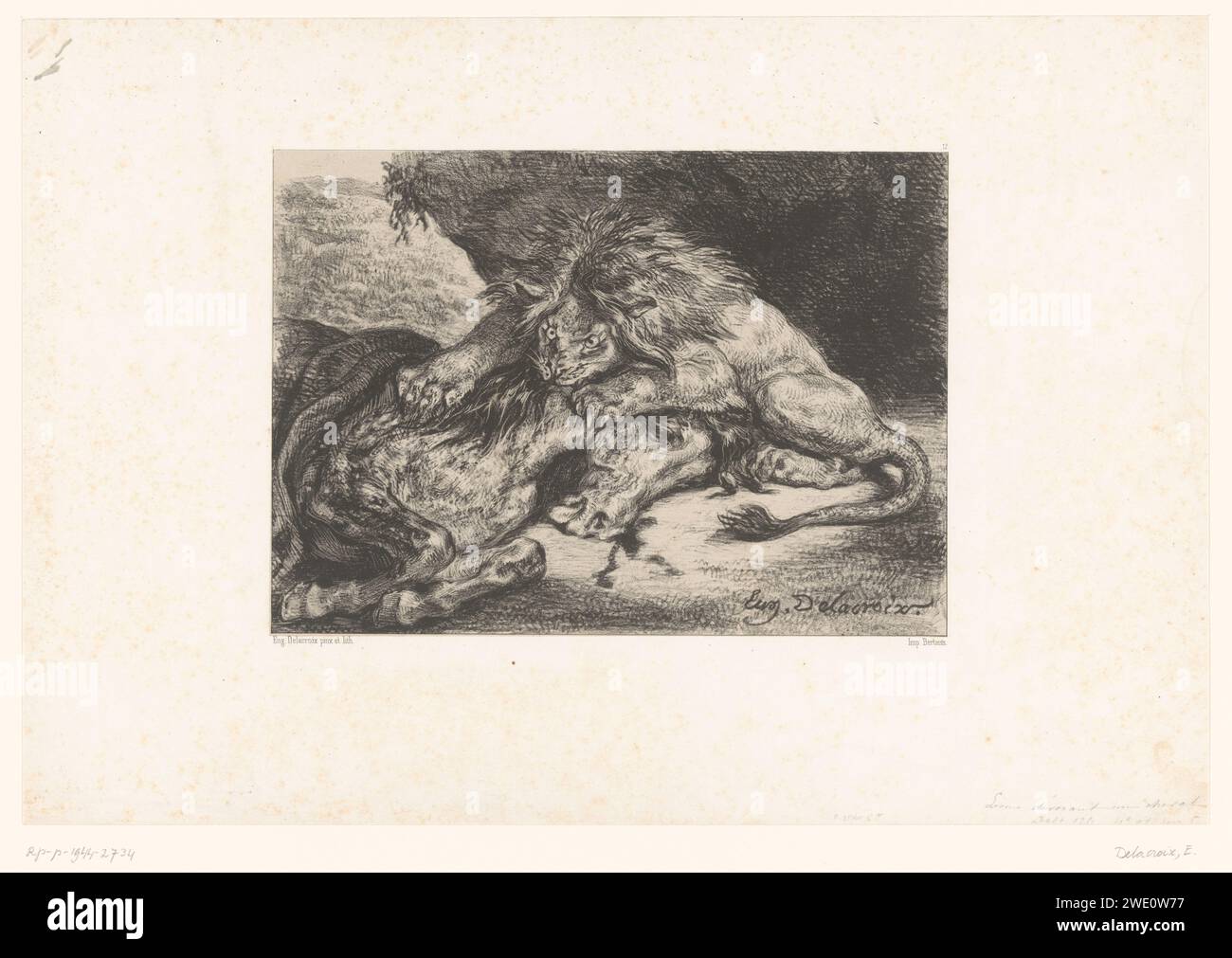 Lion dévore un cheval, Eugène Delacroix, imprimé 1844 sur papier de Paris. bêtes de proie, animaux prédateurs : lion. cheval attaqué par un animal sauvage Banque D'Images