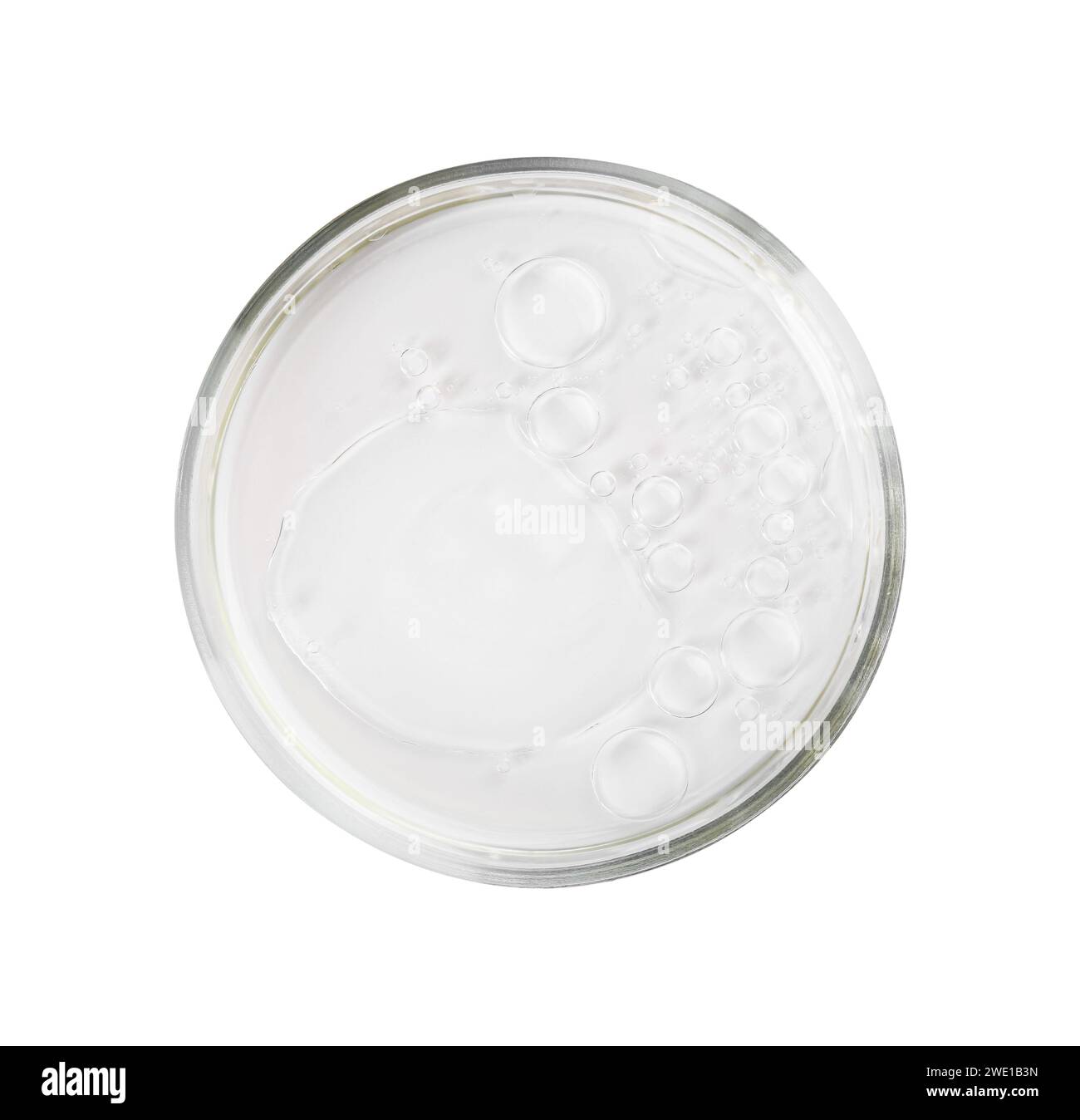 Boîte de Pétri avec échantillon liquide isolé sur blanc, vue de dessus Banque D'Images