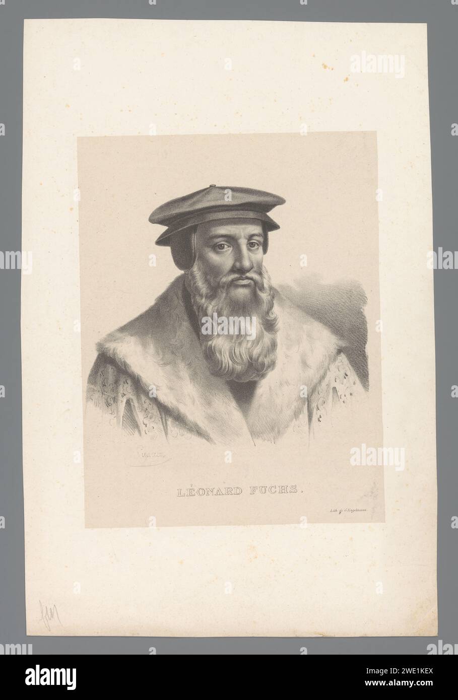 Portrait de Leonhart Fuchs, Pierre Roch Vigneron, 1816 - 1833 tirage papier Paris. personnages historiques Banque D'Images