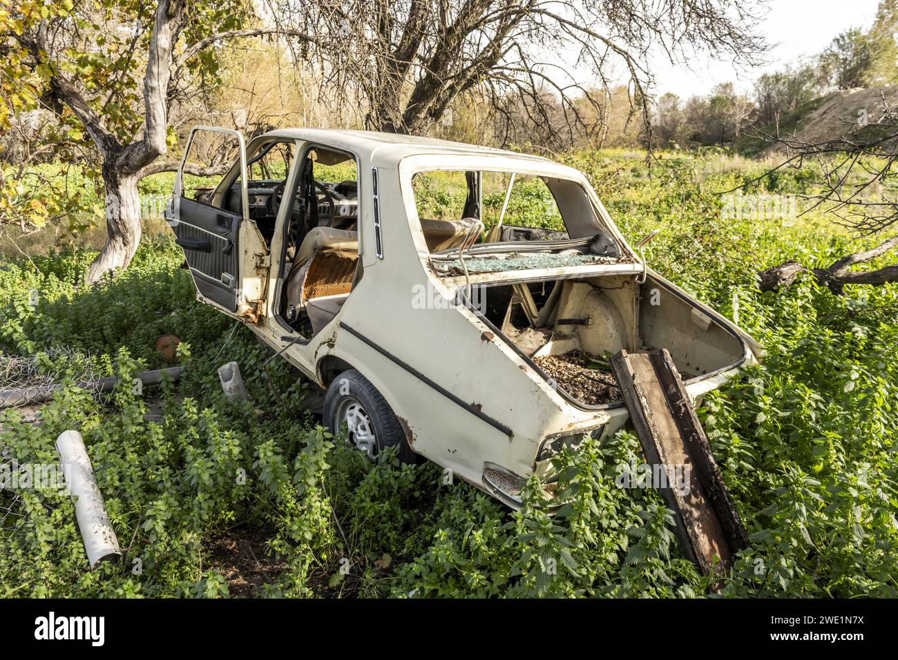 Un vieux véhicule abandonné mangé par la végétation au milieu d'un champ Banque D'Images