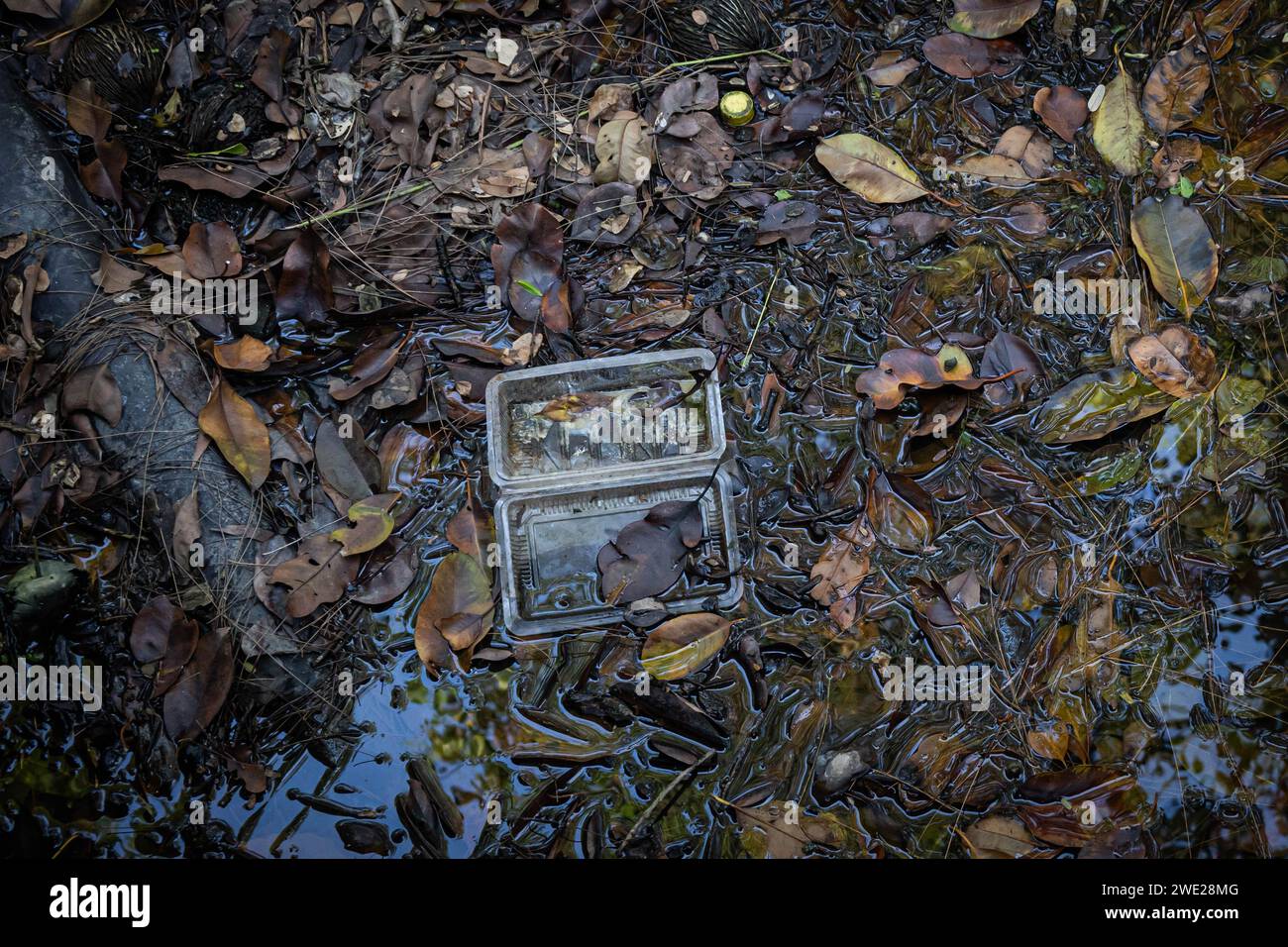 Si tout le monde dispose de ces déchets au bon endroit, le monde sera mieux à vivre et nous aurons une bonne vie aussi Banque D'Images