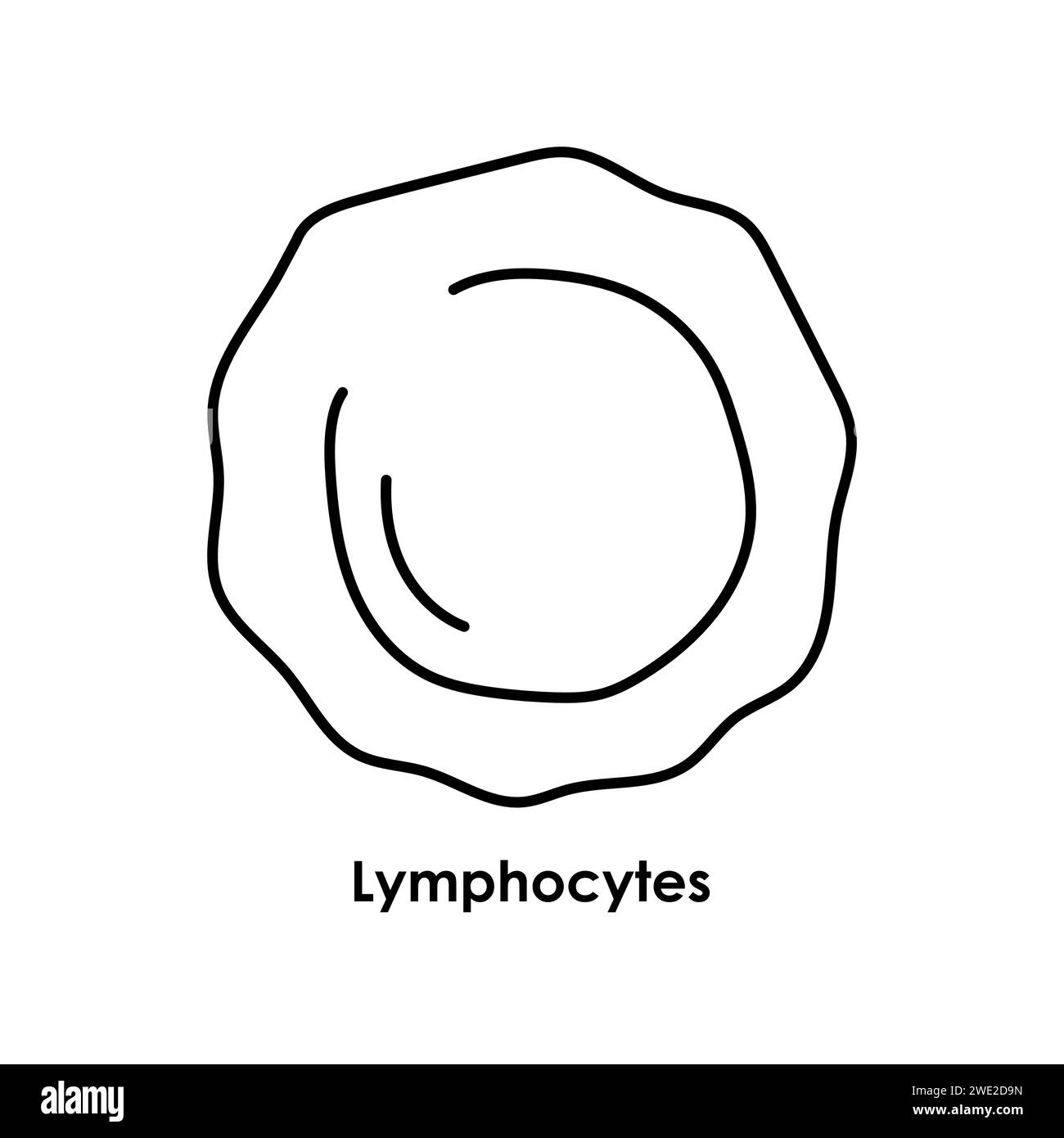 Icône de couleur lymphocytes. Globules blancs dans les vaisseaux sanguins. Illustration isolée vectorielle. Illustration de Vecteur