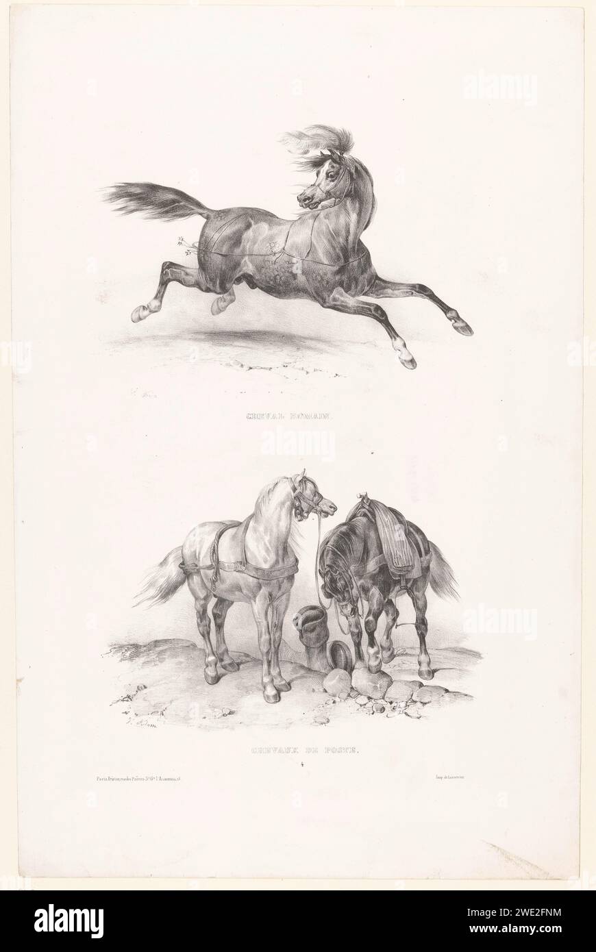 Deux représentations avec un cheval romain et deux chevaux de poteau, Victor Adam, 1828 - 1887 print Paris cheval en papier. service postal. cheval galopant. chevaux (spectacles de cirque) Banque D'Images