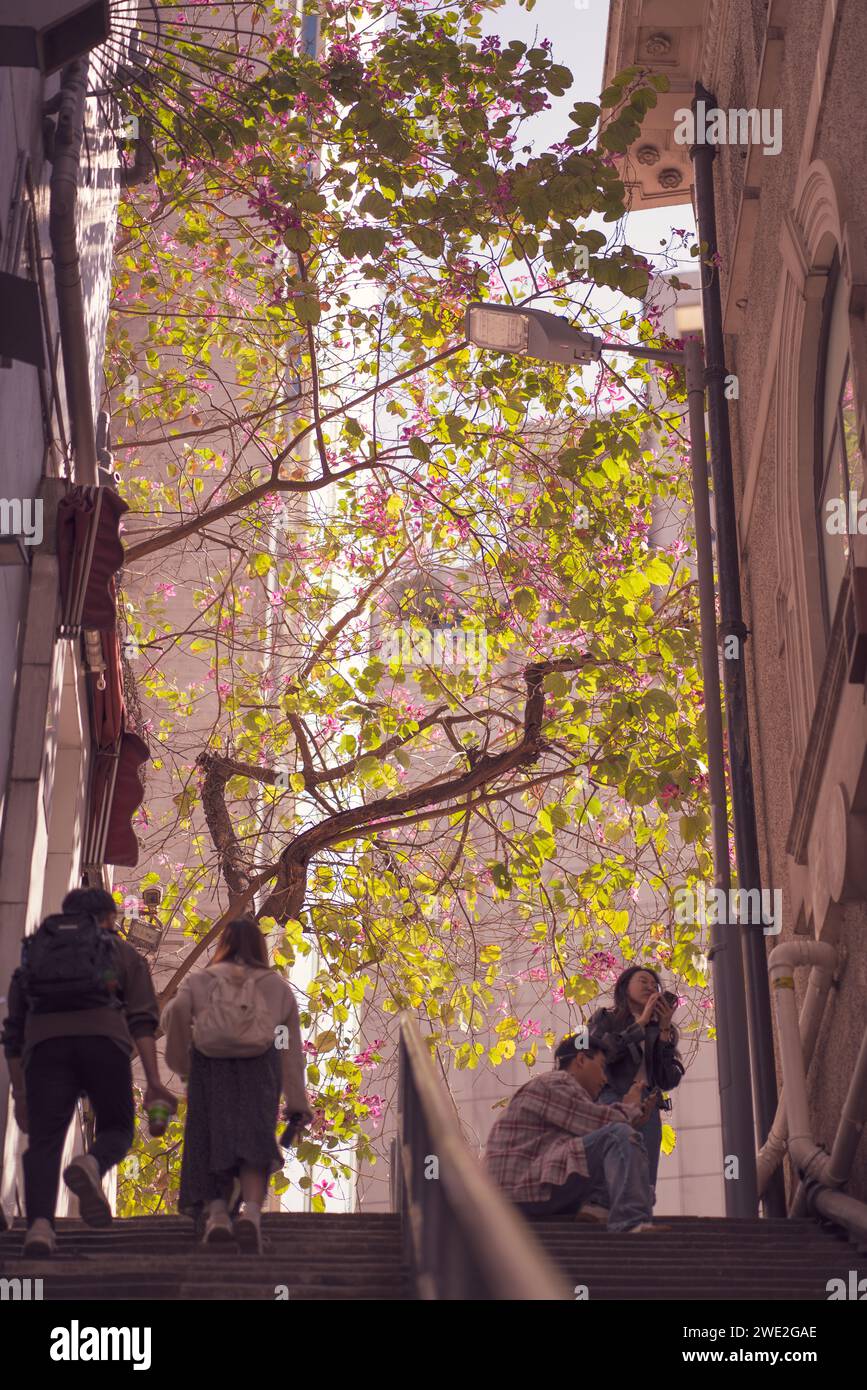 Street Photography at Central Hong Kong, janvier 2024 Banque D'Images