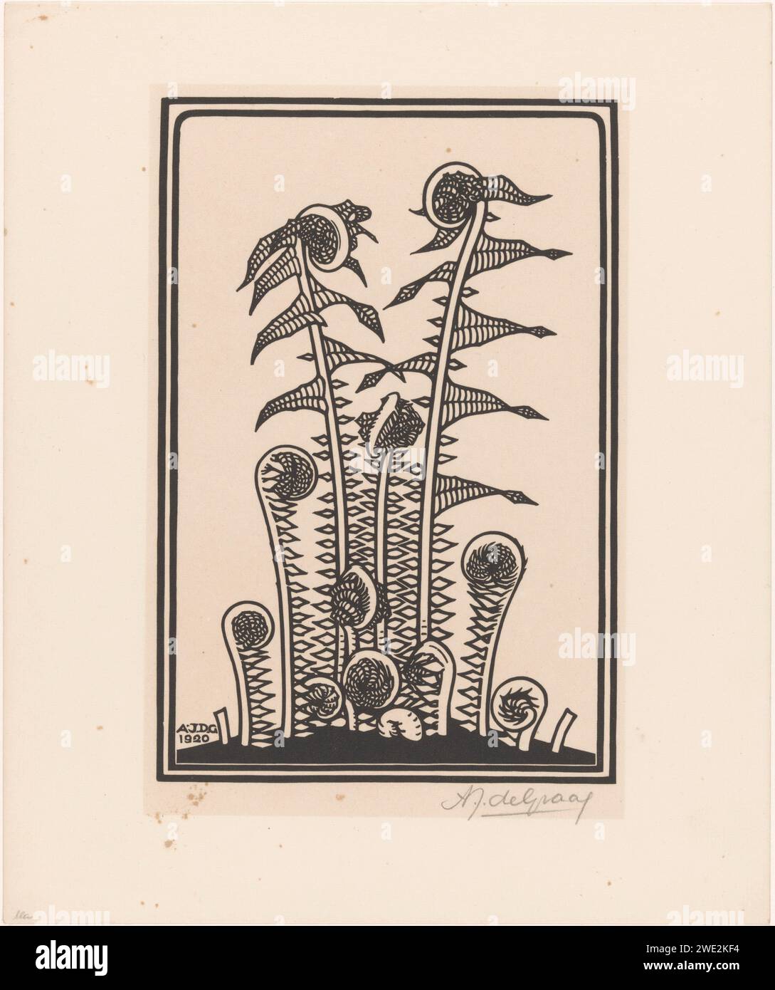 Fougères, Julie de Graag, 1920 fougères imprimées Banque D'Images
