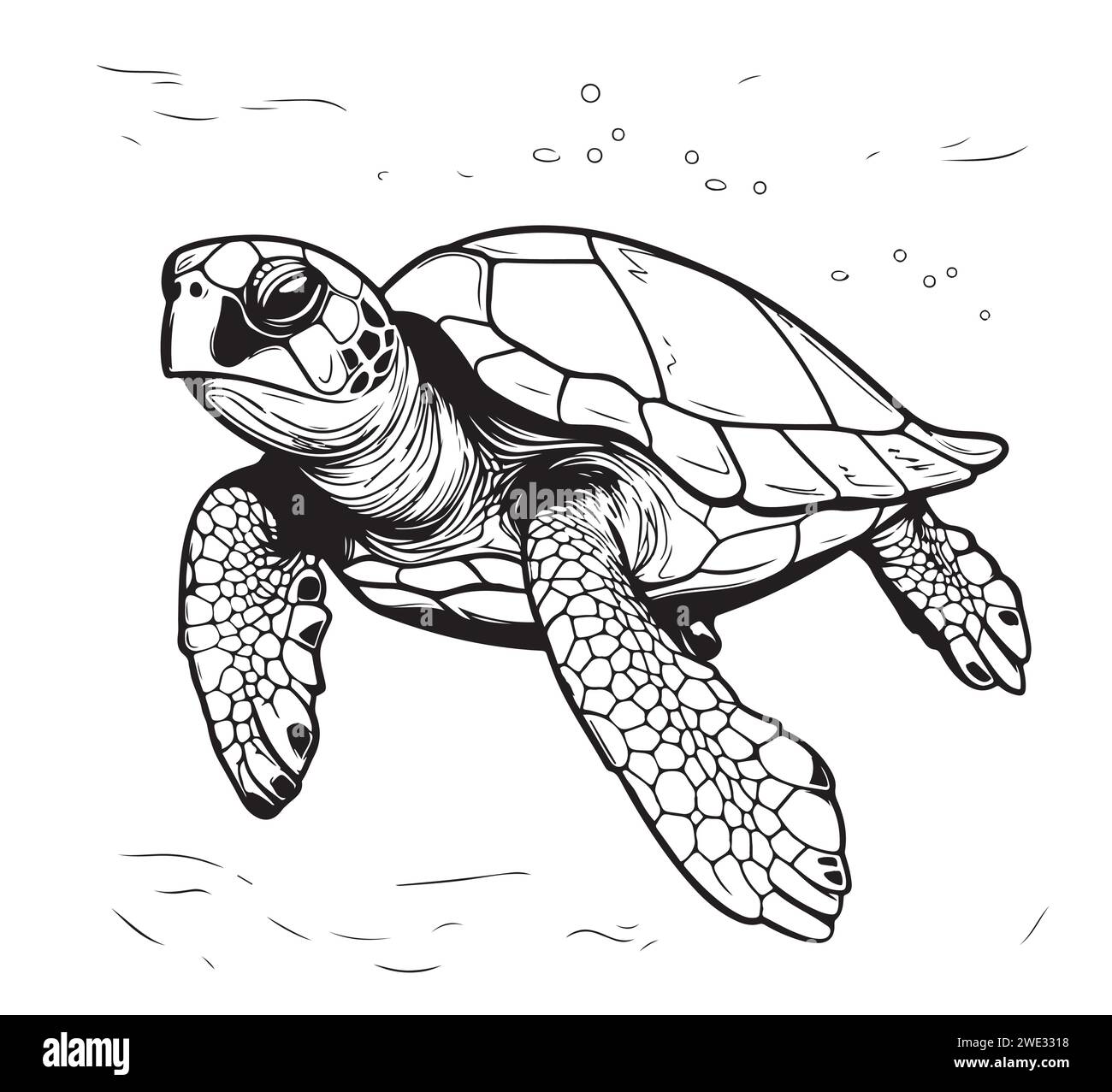 Tortue de mer dessin de style gravure dessiné à la main animaux sous-marins illustration vectorielle. Illustration de Vecteur