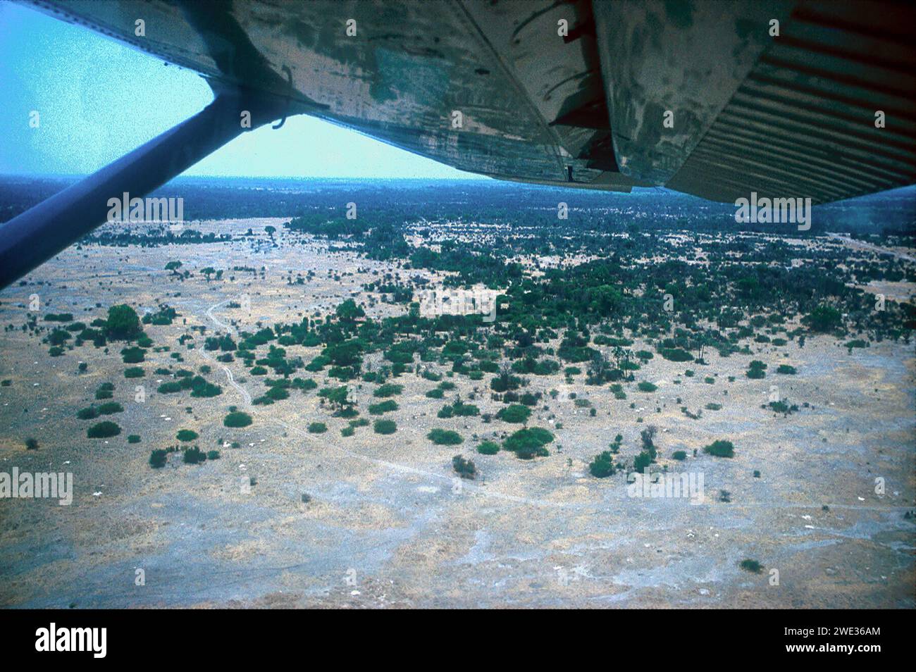 Vue aérienne depuis un petit vol en avion à travers le delta, du camp de Mombo au camp de Jedibe, prise en 1993, Delta de l'Okavango, Botswana, Afrique Banque D'Images