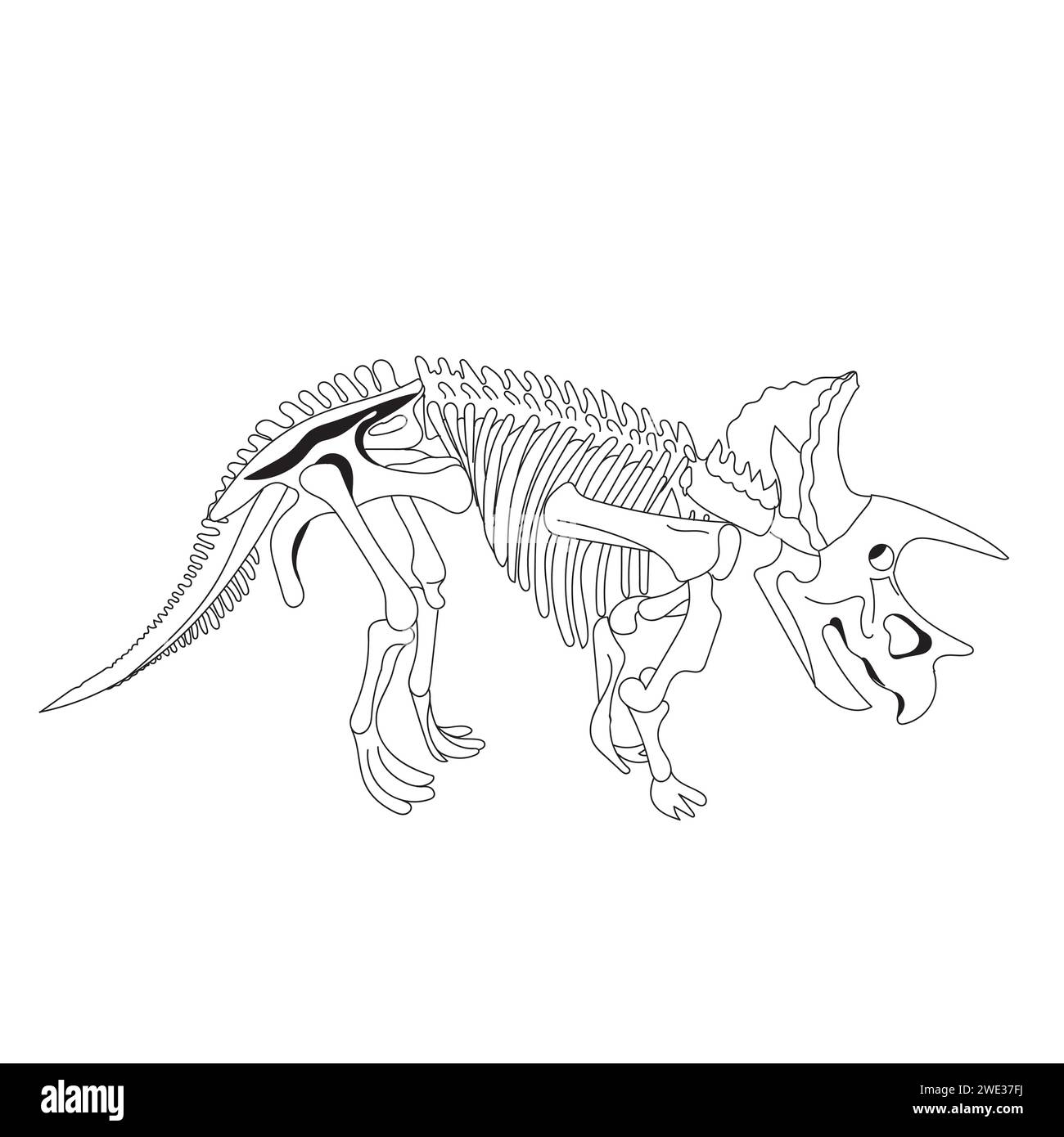 Crâne de dinosaure Triceratops dans le style doodle. Illustration vectorielle. Illustration de Vecteur
