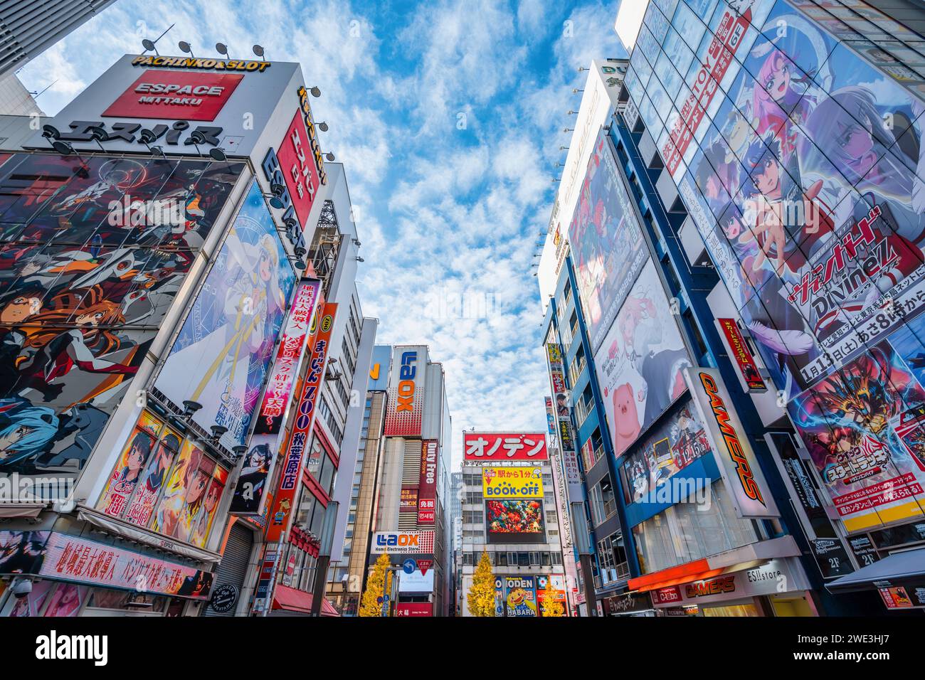 Enseignes colorées et panneaux d'affichage à Akihabara, Tokyo, Japon. Akihabara est un quartier commerçant célèbre pour ses boutiques d'anime, de manga, de jeux vidéo et d'ordinateurs. Banque D'Images