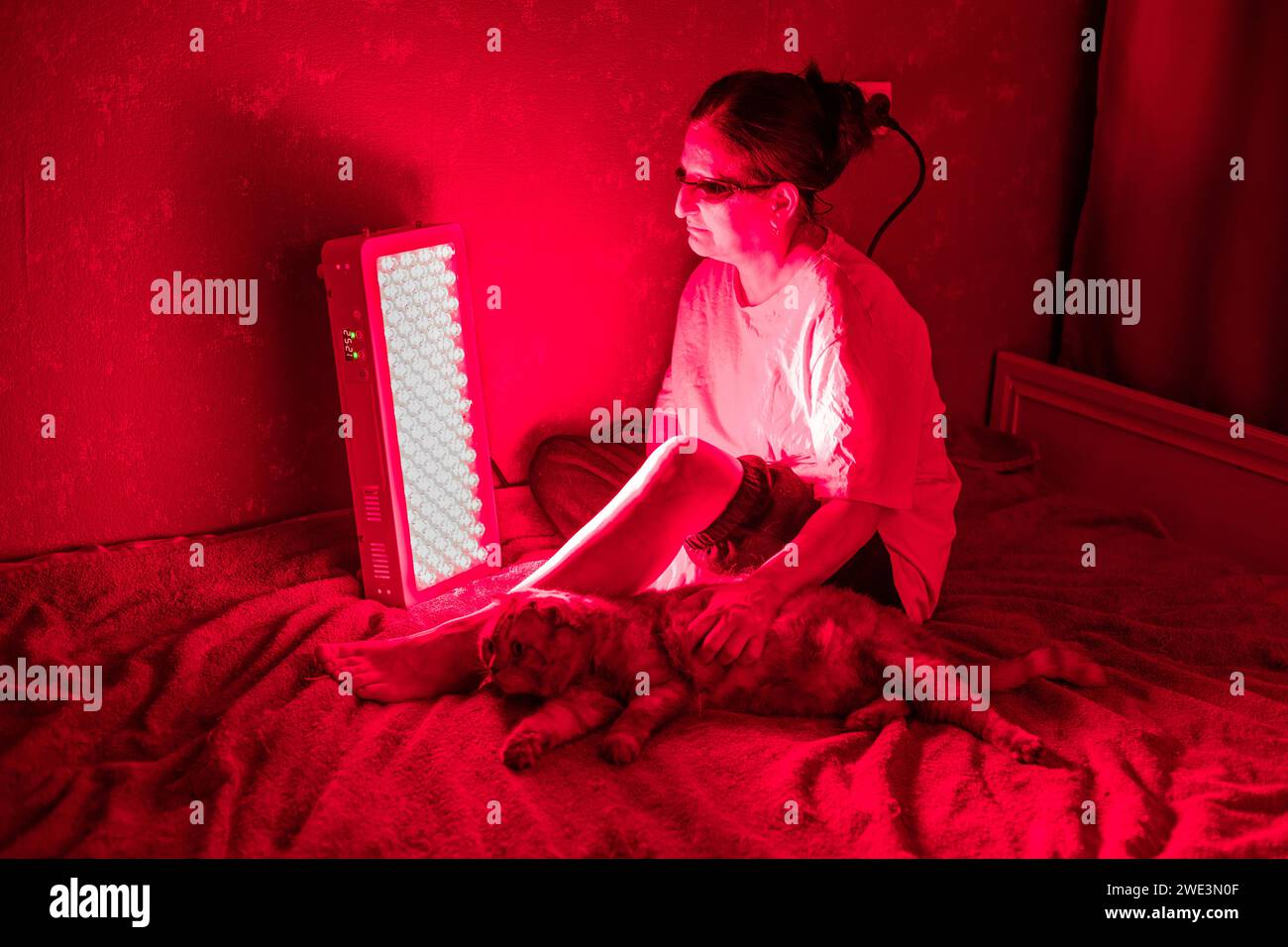 Femme âgée faisant la séance de thérapie de lumière rouge avec panneau et portant une protection oculaire tout en caressant un chat à la maison sur le lit Banque D'Images