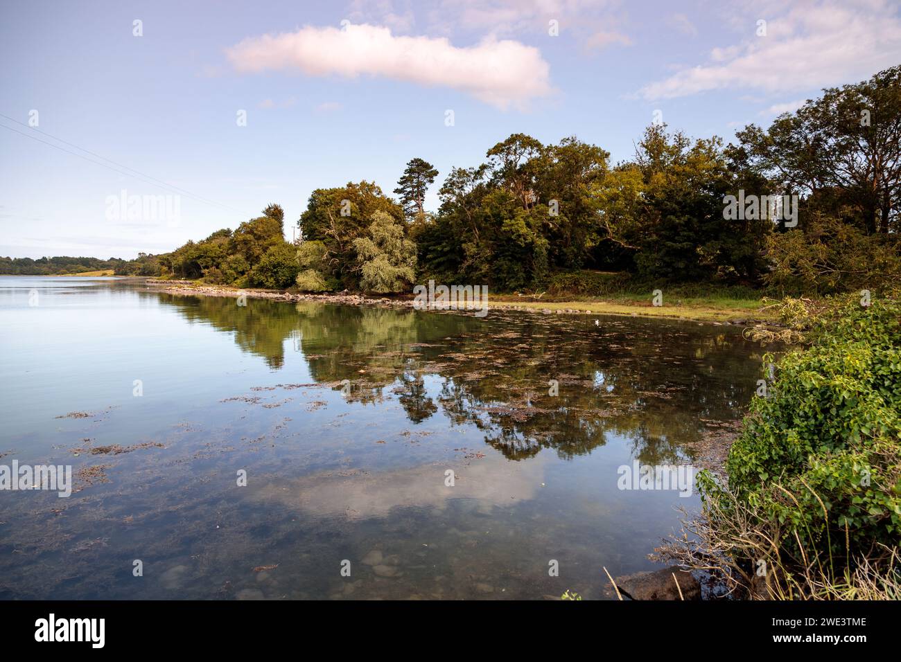 Strangford Lough à Mahee Island, comté de Down, Irlande du Nord Banque D'Images