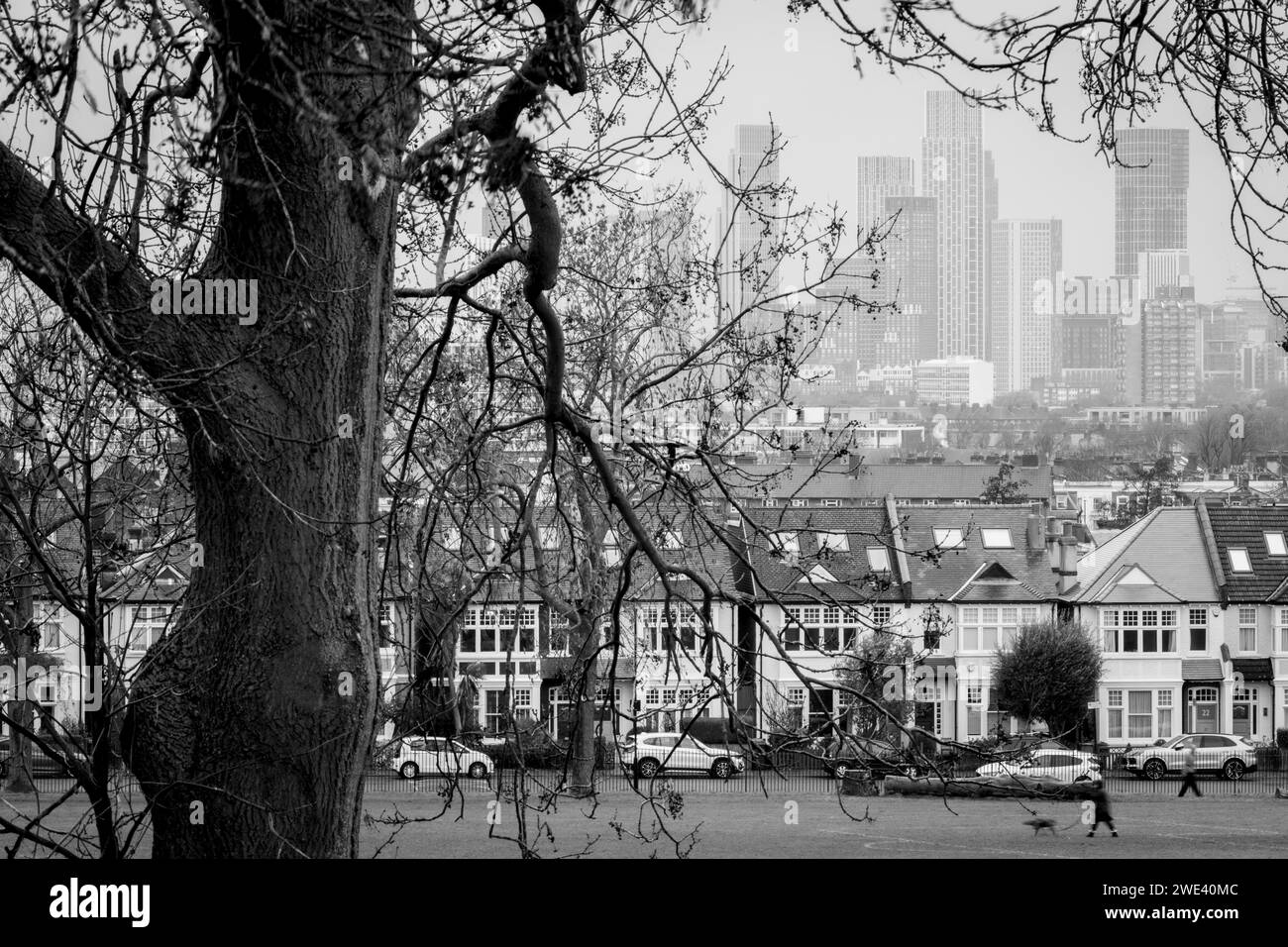 Propriétés résidentielles suburbaines et gratte-ciel lointain à Nine Elms, vues depuis Ruskin Park, un espace vert public du sud de Londres à Lambeth, le 23 janvier 2024, à Londres, en Angleterre Banque D'Images