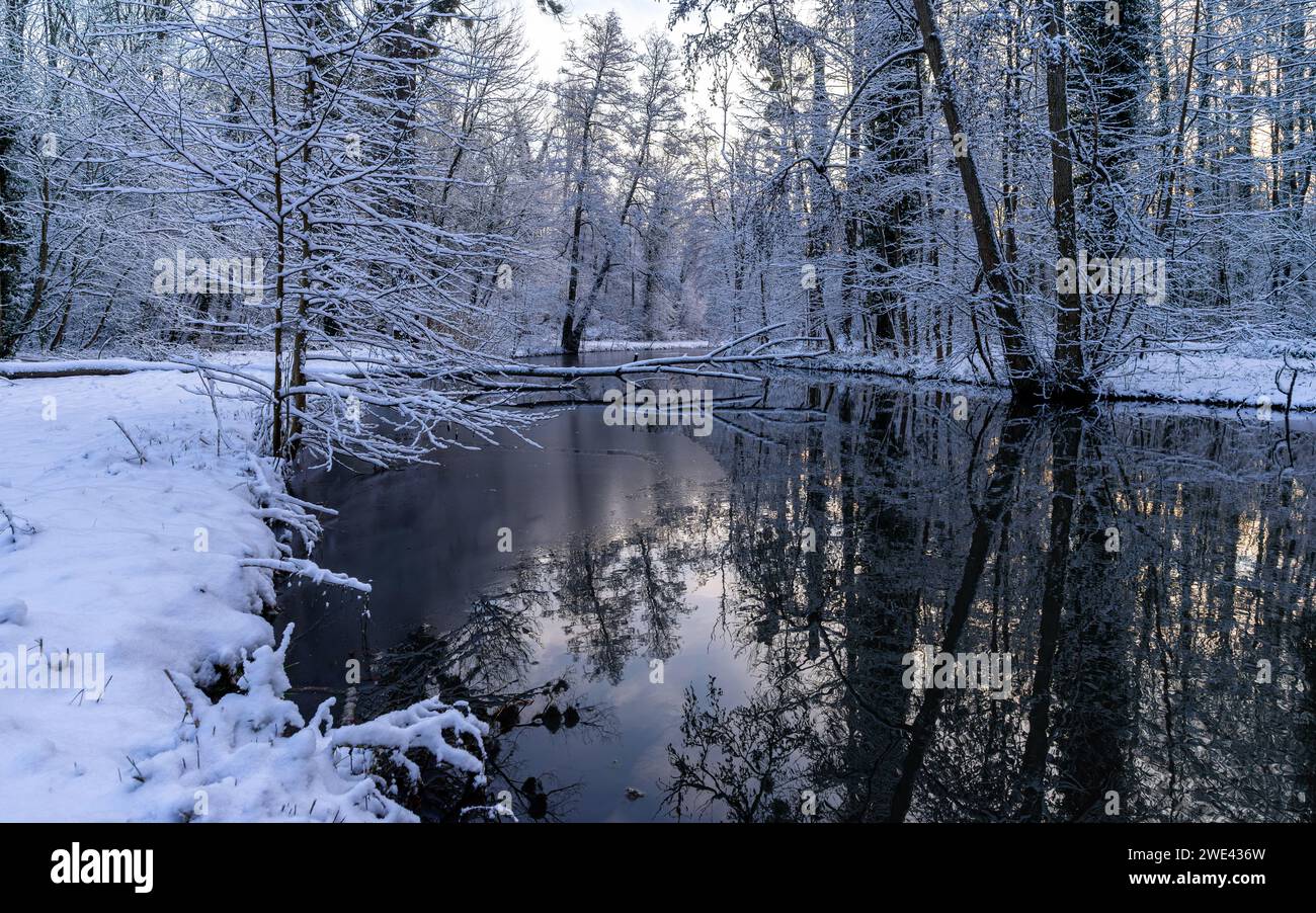 Lever de soleil sur le Parc de Géresme (Parc de Géresme) sous la neige à Crépy-en-Valois, dans le département de l'Oise dans le nord de la France. Paysage enneigé d'hiver. Banque D'Images