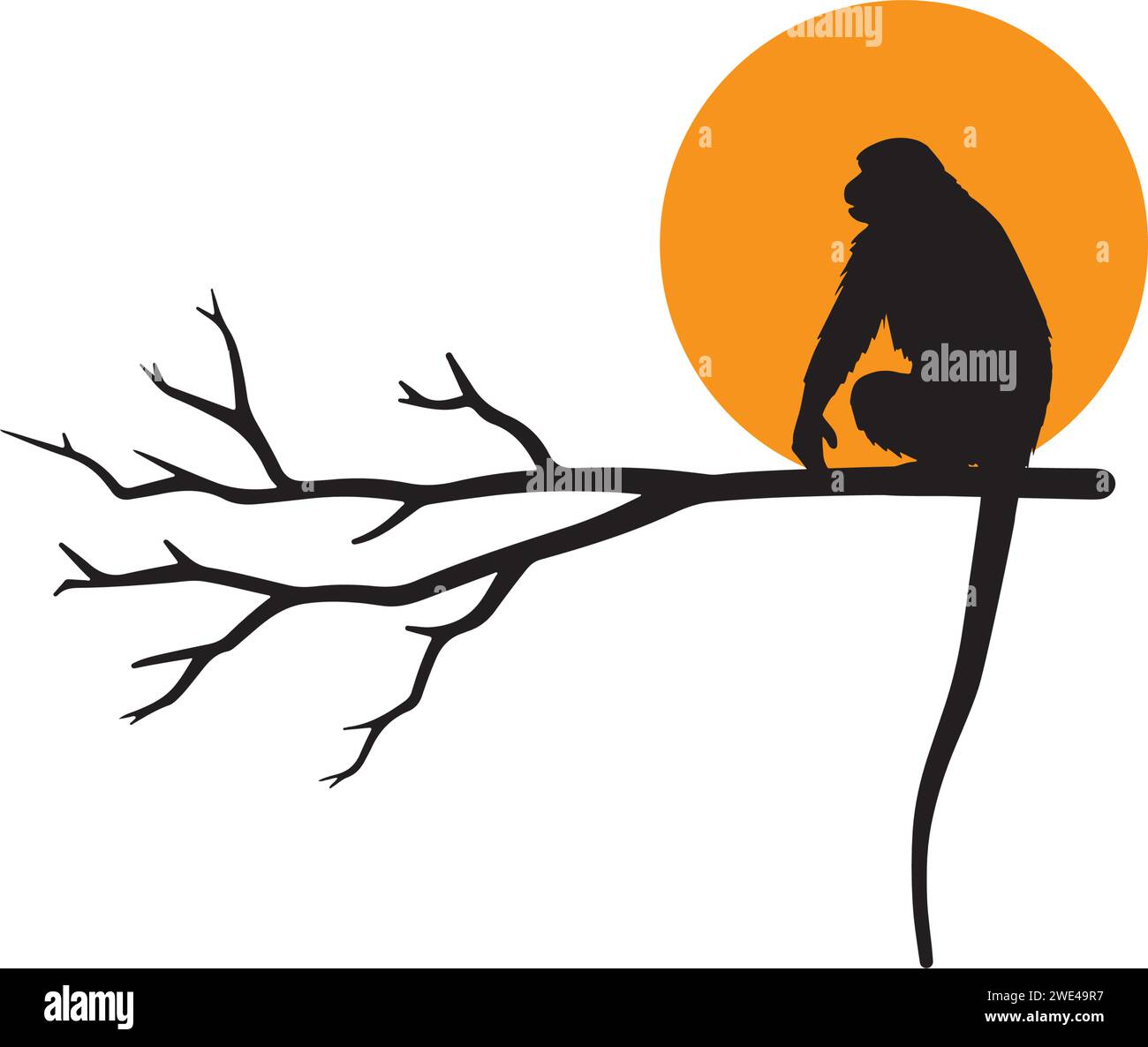 Silhouette de singe sur branche au coucher du soleil, illustration vectorielle isolée sur fond blanc. Design d'art minimaliste Illustration de Vecteur