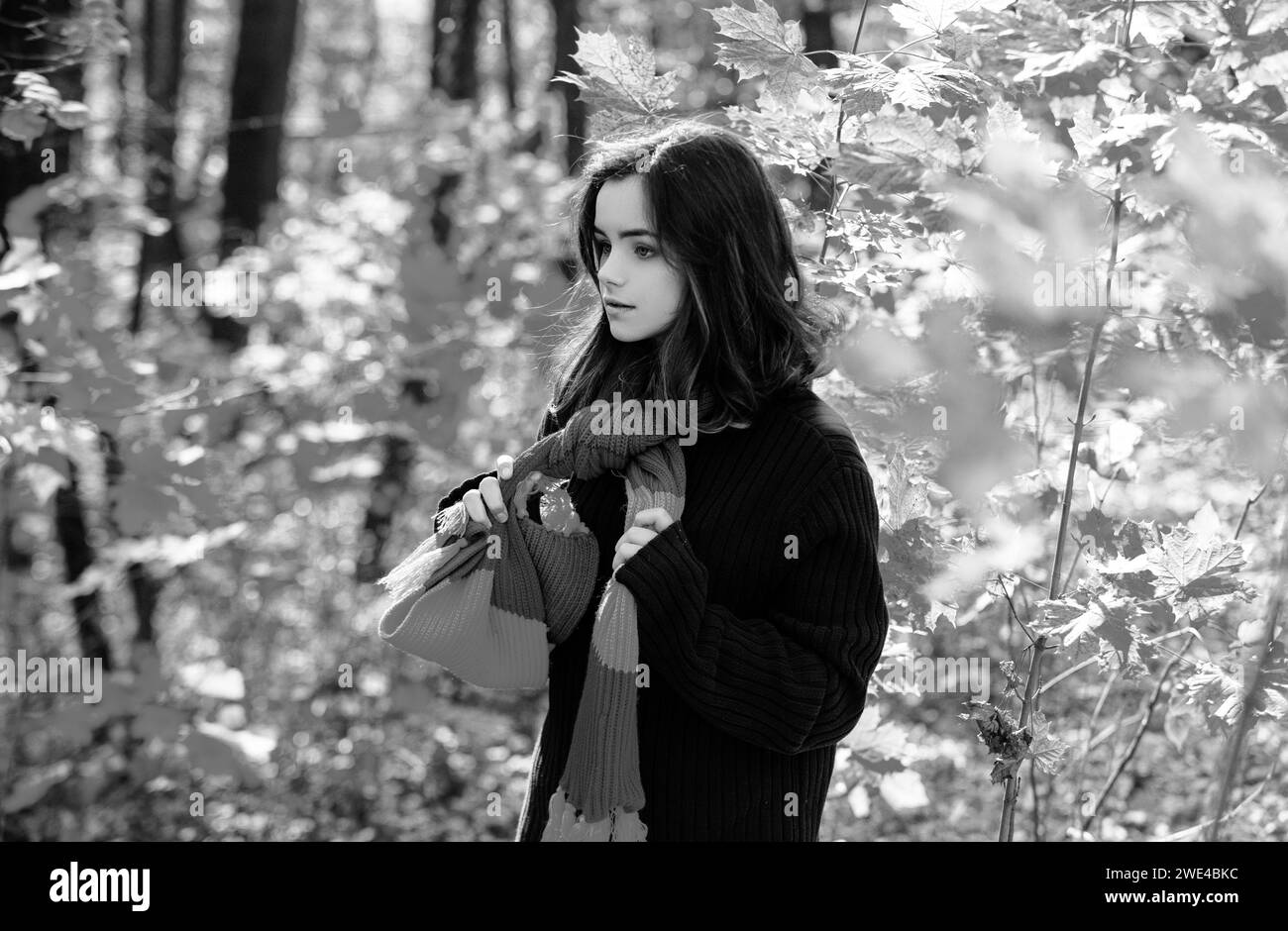 Jeune fille d'automne. Portrait de la belle jeune fille de l'adolescence marchant à l'extérieur en automne. Banque D'Images