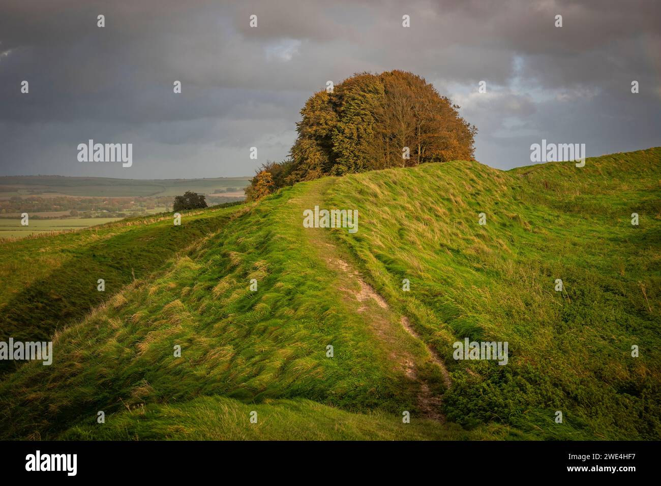 Château de Barbury fort Iron Age Hill près de Broughton, Wiltshire, Royaume-Uni Banque D'Images