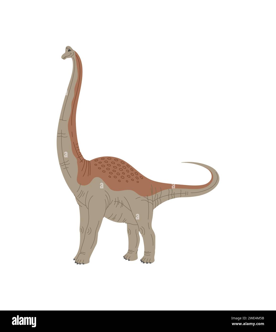 Personnage de dessin animé dinosaure Pelorosaurus, reptile Jurassique pour enfants jouet ou jeu, vecteur isolé. Espèces drôles de dinosaures dino ou Pelorosaurus pour l'éducation préhistorique des enfants, musée éteint ou jeu Illustration de Vecteur