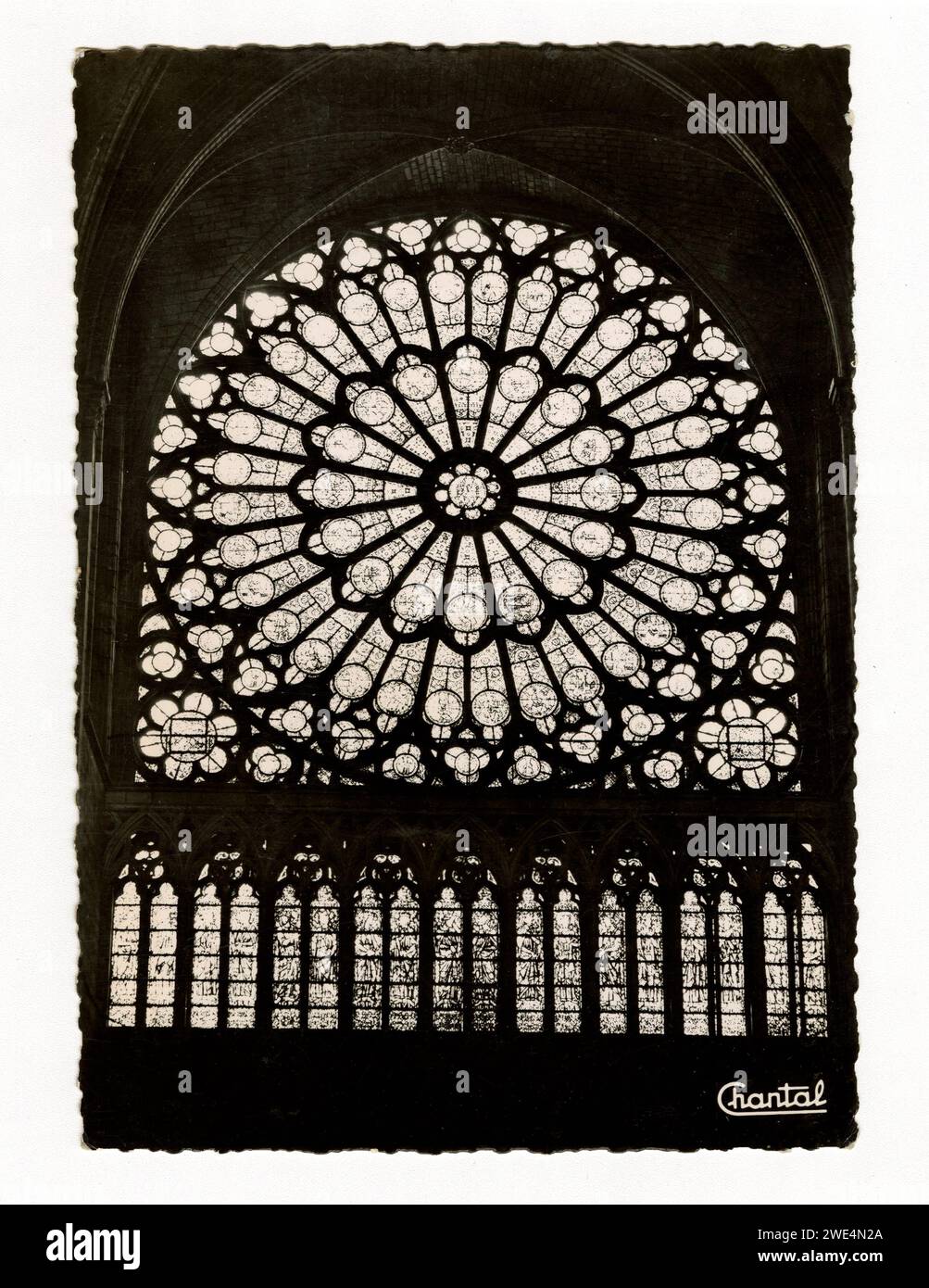 Carte postale noire et blanche des années 1950 par les éditions Chantal, montrant la Rose Nord de notre-Dame, Paris, France, construite ca. 1250-1260. Banque D'Images