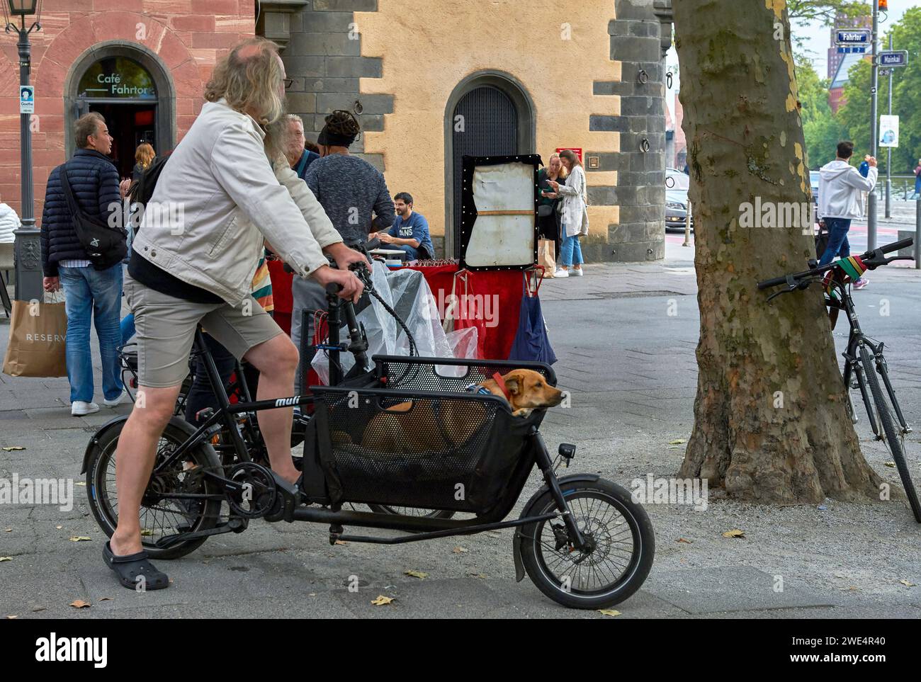 Équitation avec un chien dans le centre de Francfort, Allemagne Banque D'Images