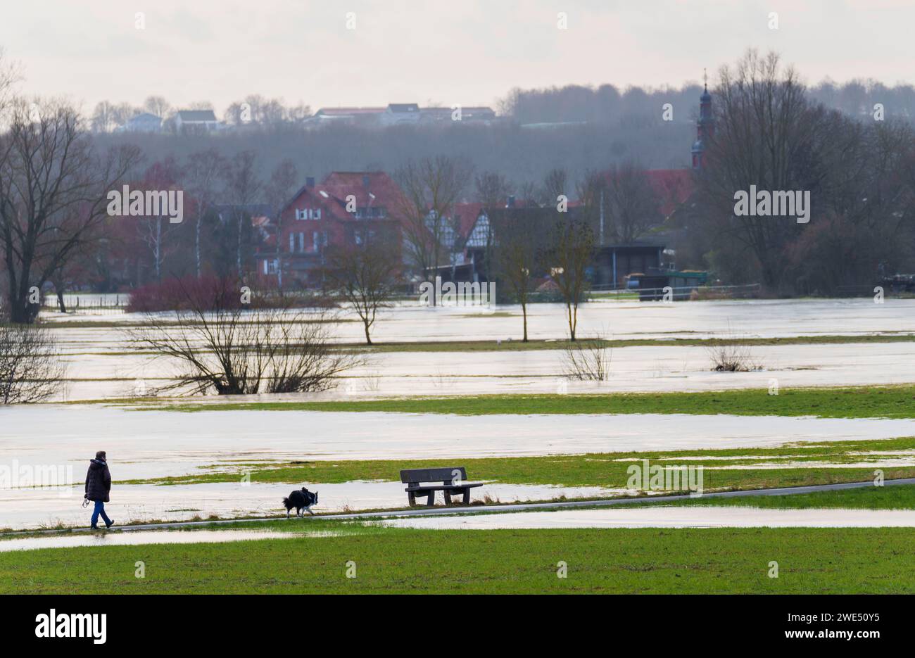 Nidder PRODUCTION - 23 janvier 2024, Hesse, Nidderau : l'eau se trouve sur une ...