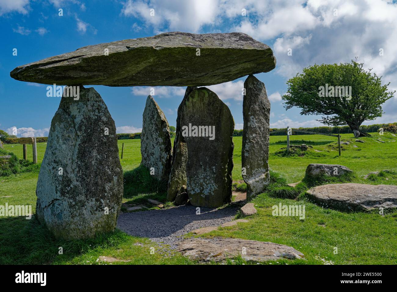 Grande-Bretagne, pays de Galles, Preseli Hills, Pentre Ifan, tombeau portail mégalithique, 5000 ans Banque D'Images