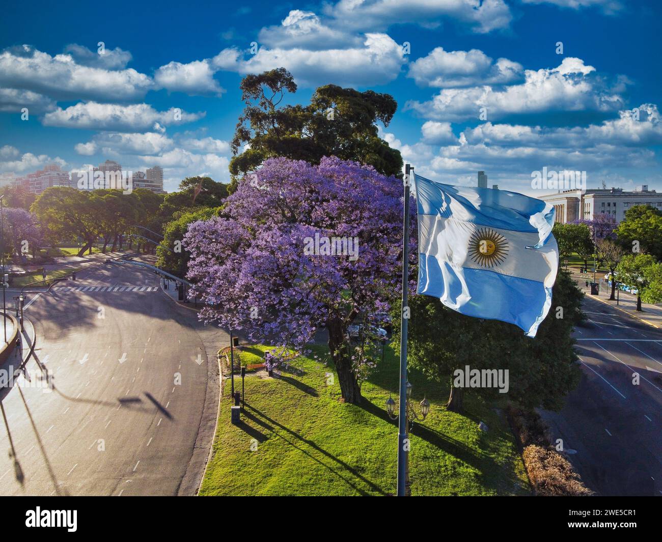 Arbre jacaranda violet en pleine floraison et drapeau argentin volant à Buenos Aires Banque D'Images