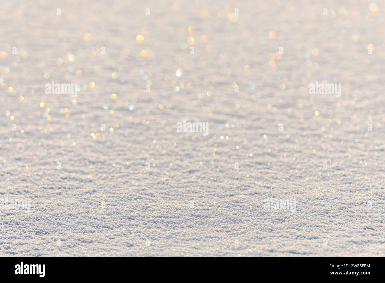 Fine couche de neige brillante sur la glace. Bas-Rhin, Alsace, Grand est, France, Europe. Banque D'Images