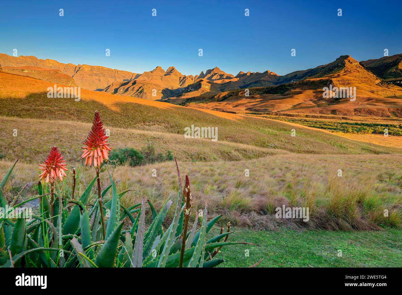 Montagnes du Drakensberg avec corne extérieure, corne intérieure et pic de la cathédrale, Didima, pic de la cathédrale, Drakensberg, Kwa Zulu Natal, site du patrimoine mondial de l'UNESCO Banque D'Images