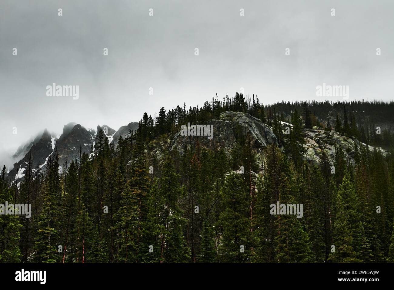 Paysage du parc national des montagnes Rocheuses, Colorado Banque D'Images