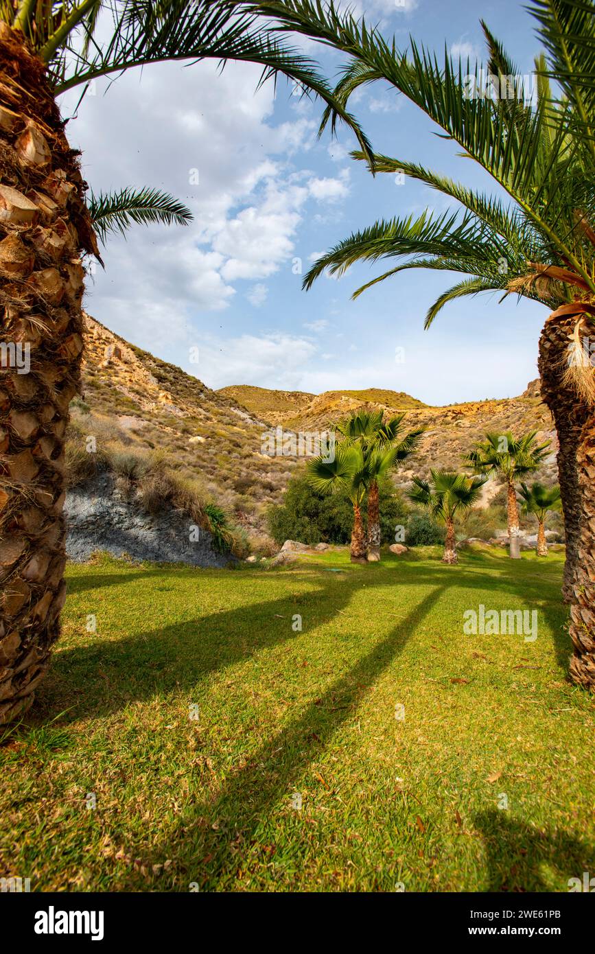 Vue panoramique sur la vallée d'Envia à Almeria Banque D'Images