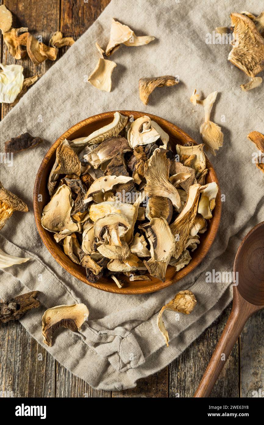 Champignons séchés crus biologiques dans un bol Banque D'Images