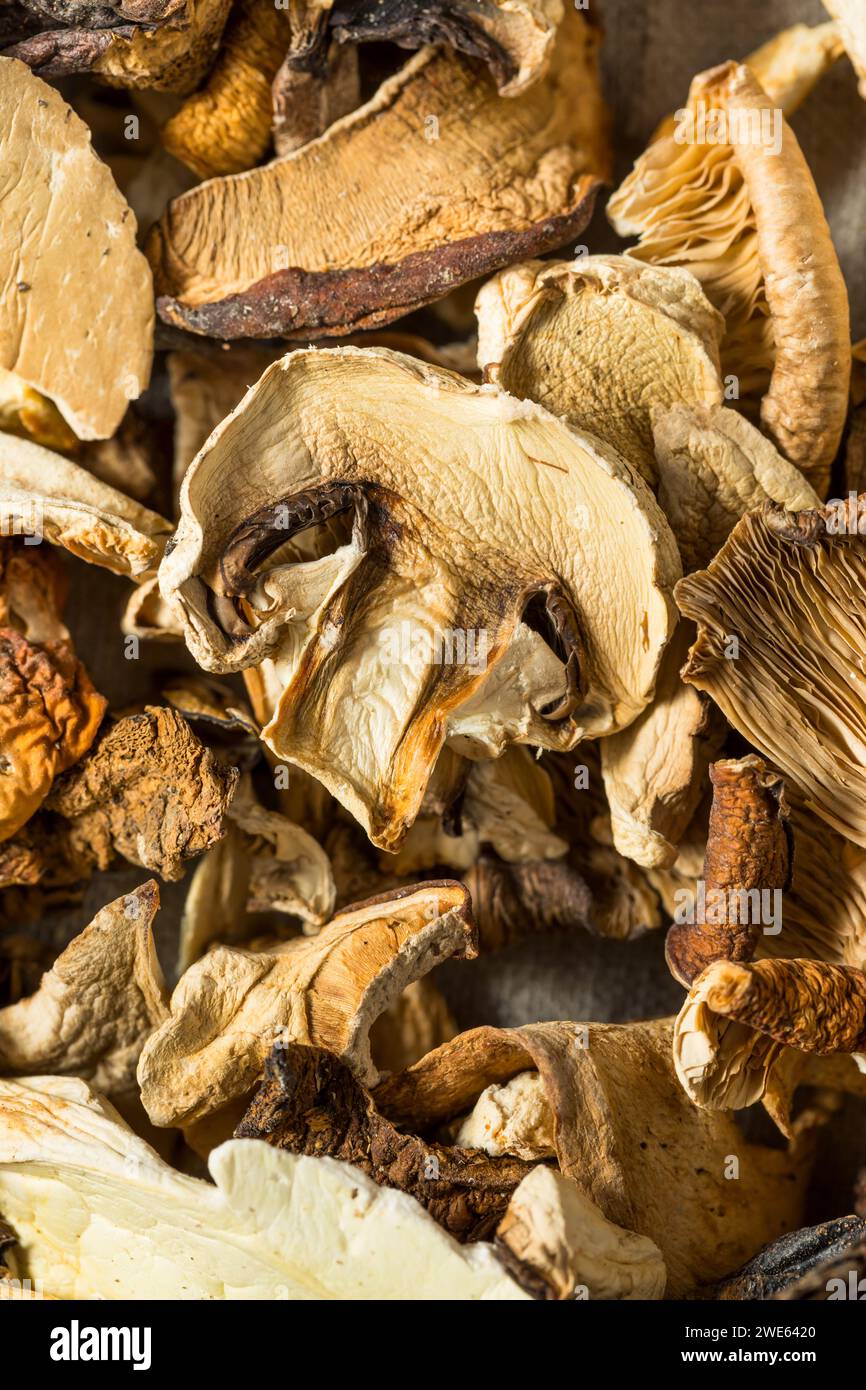 Champignons séchés crus biologiques dans un bol Banque D'Images