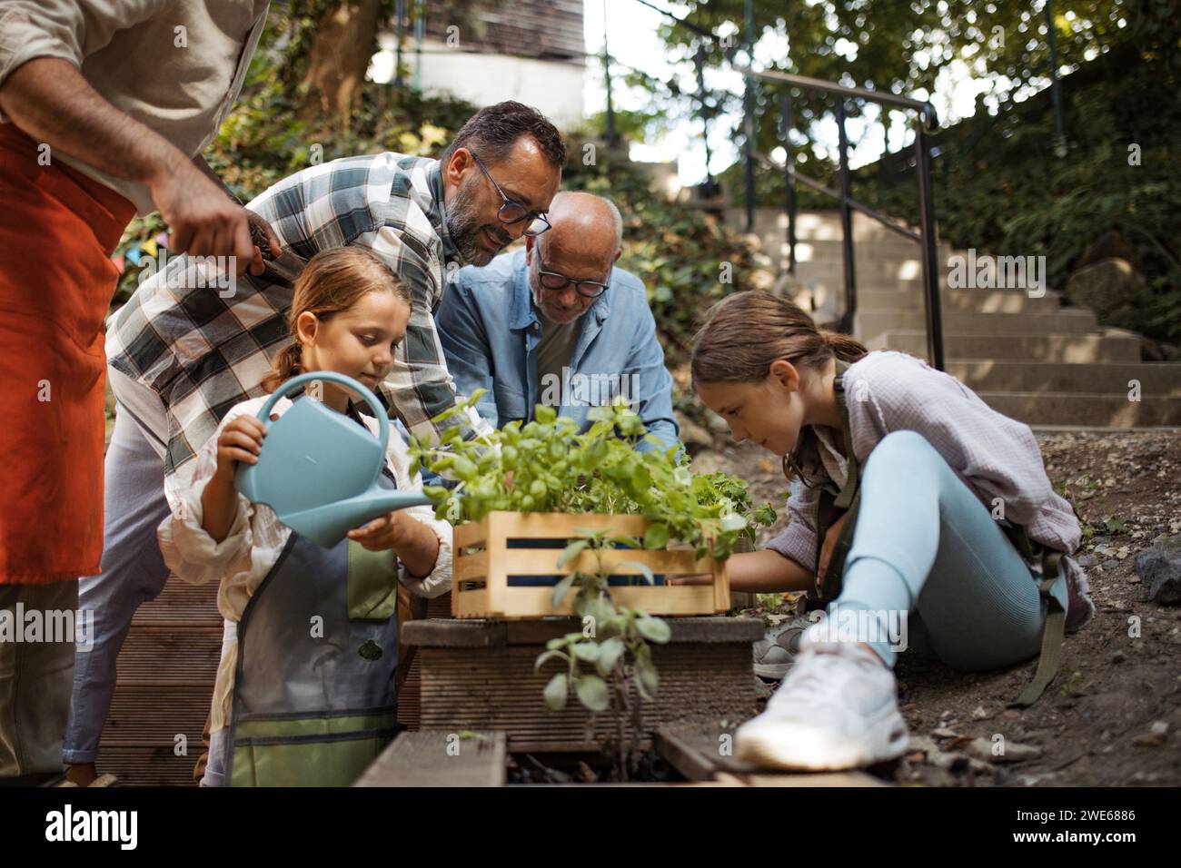 Bénévoles au projet de quartier planter des herbes dans le jardin communautaire Banque D'Images